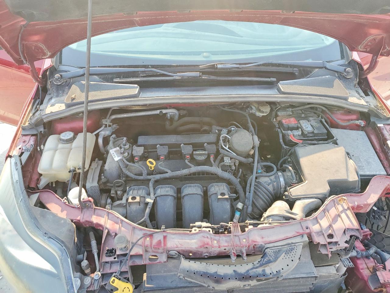 2013 Ford Focus Titanium Burgundy vin: 1FADP3N27DL151033
