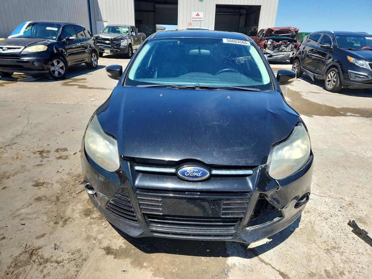 2013 Ford Focus Titanium Black vin: 1FADP3N27DL317597