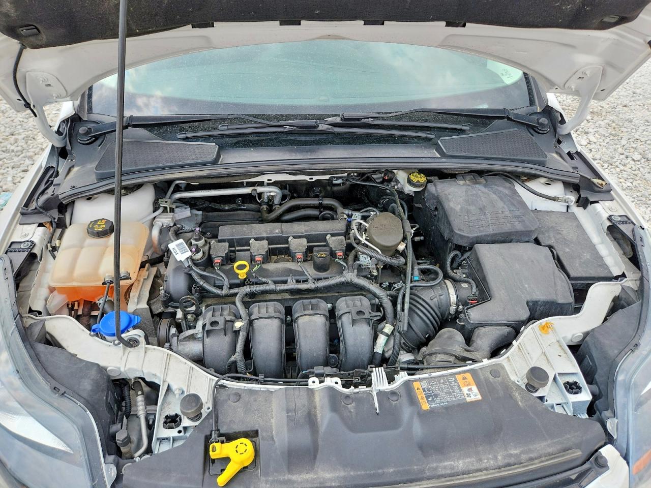 2014 Ford Focus Titanium White vin: 1FADP3N27EL439510