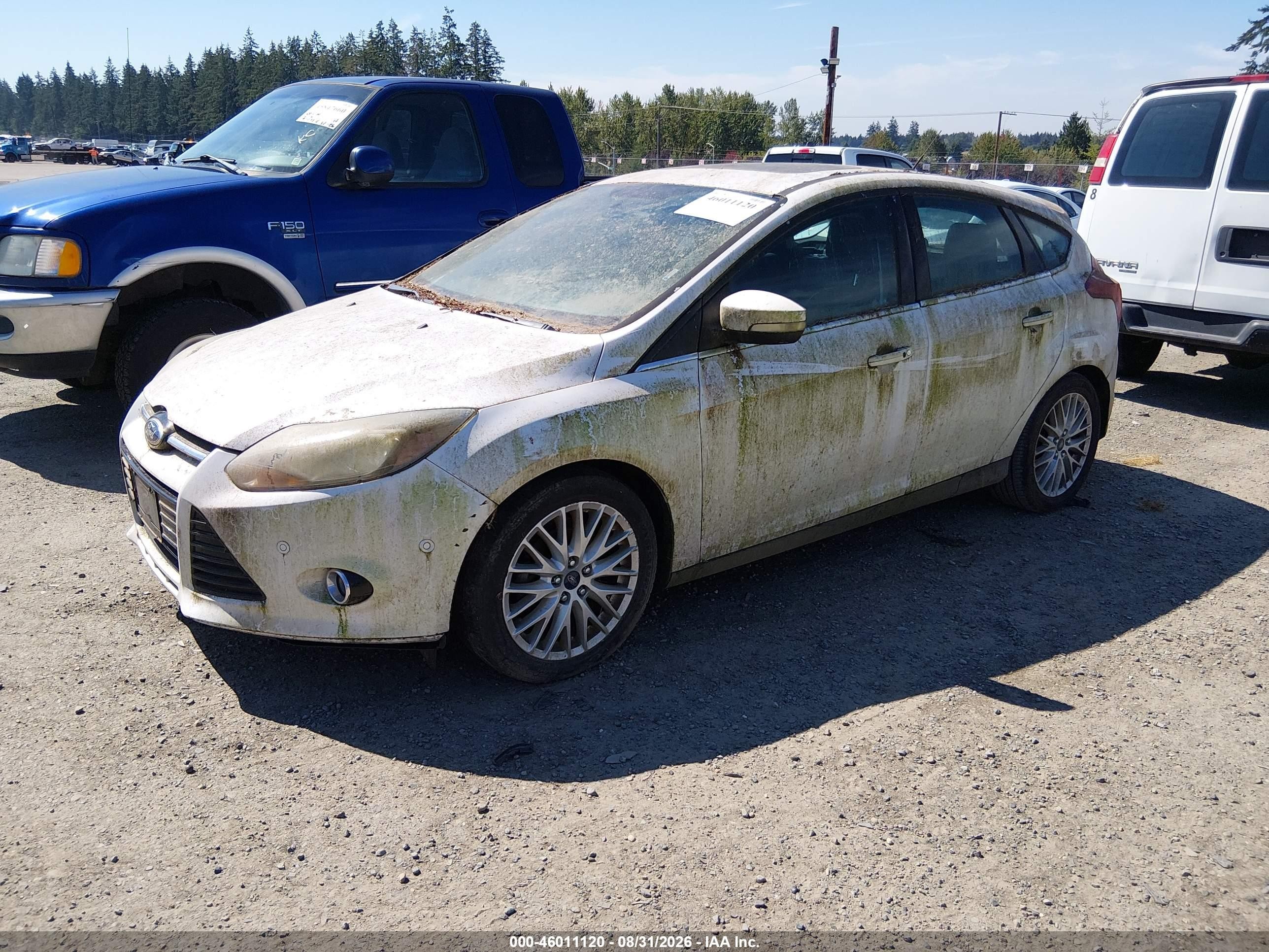 2013 Ford Focus Titanium Белый vin: 1FADP3N28DL348356