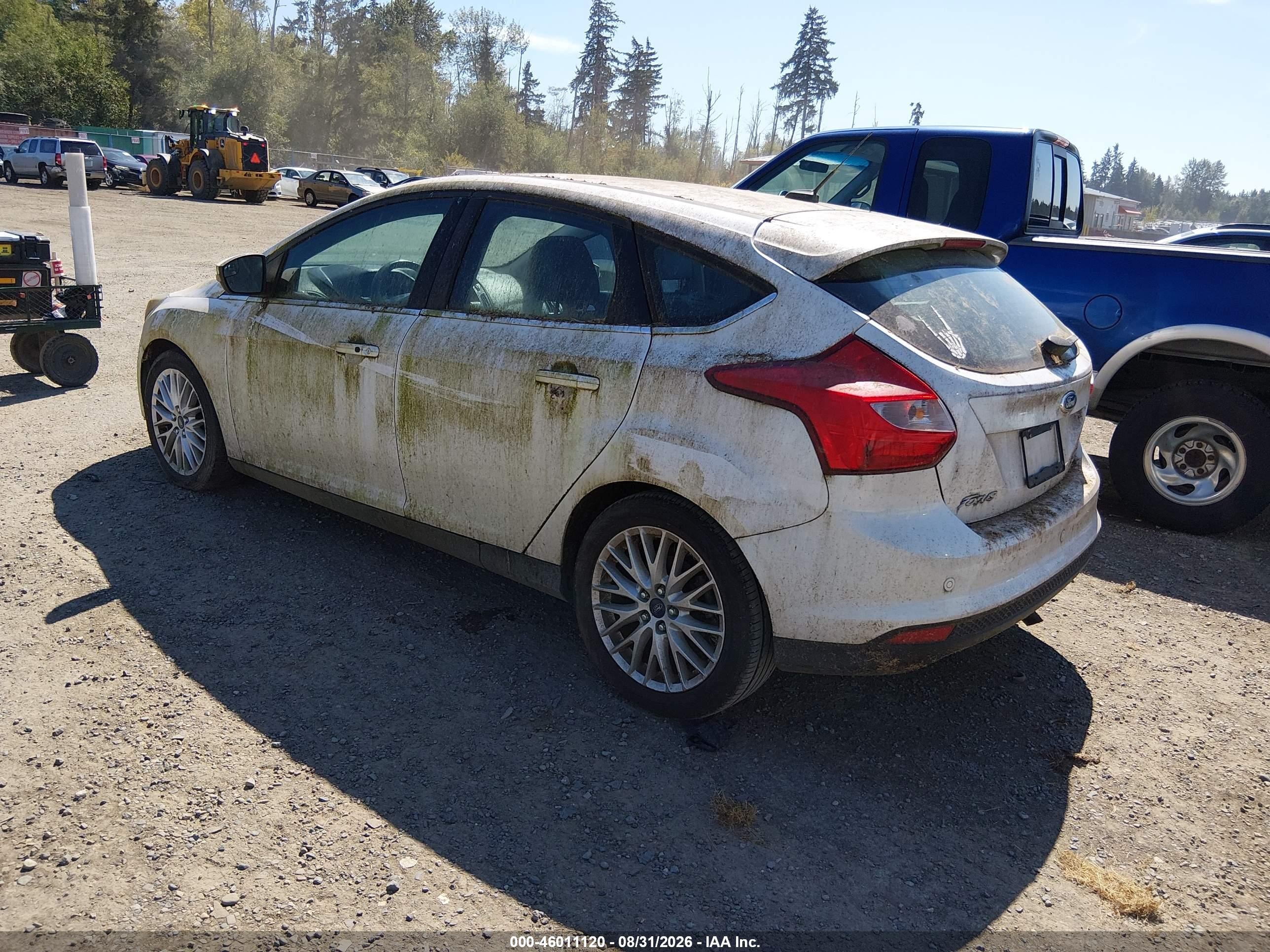 2013 Ford Focus Titanium Белый vin: 1FADP3N28DL348356