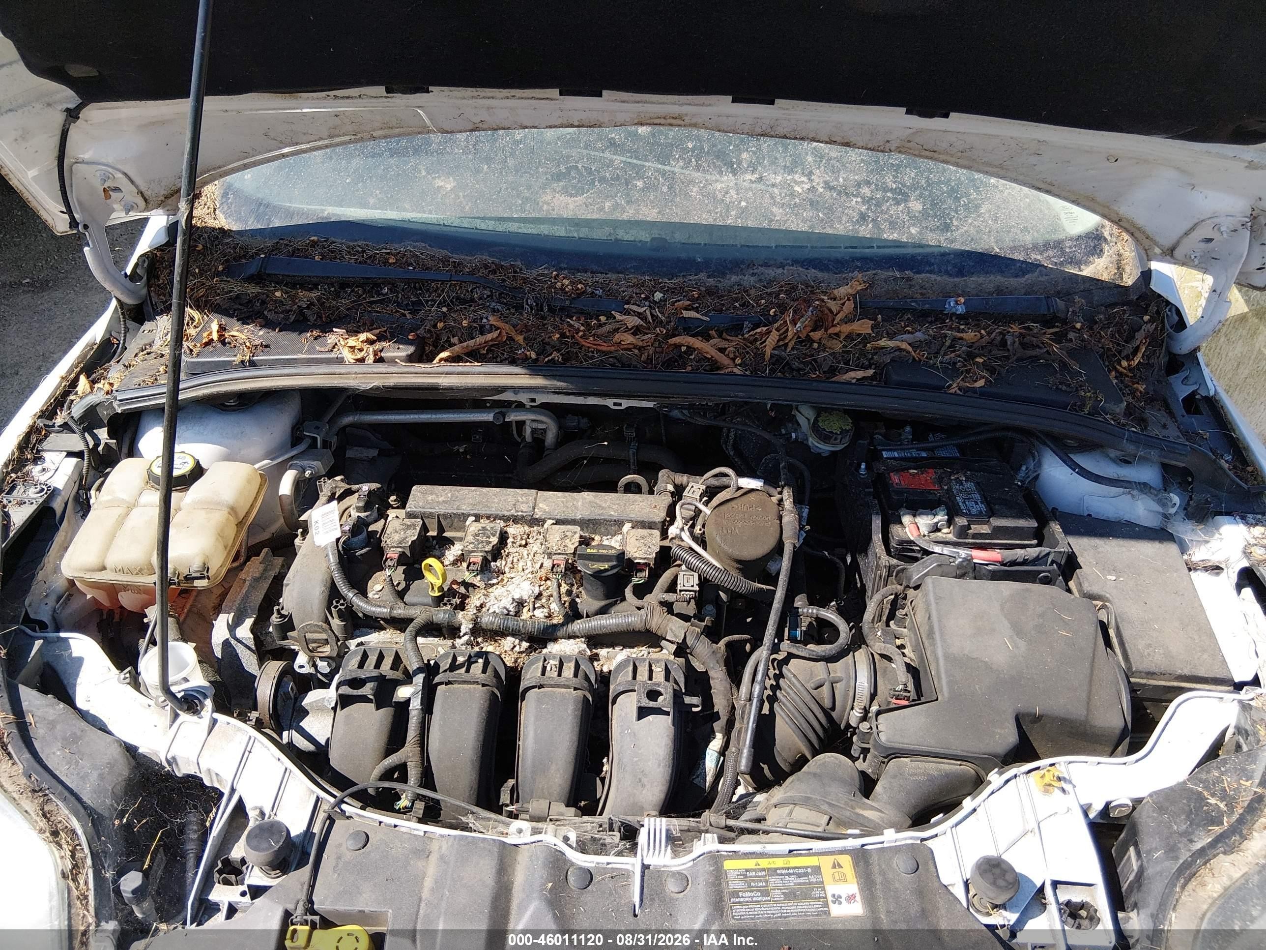 2013 Ford Focus Titanium Белый vin: 1FADP3N28DL348356