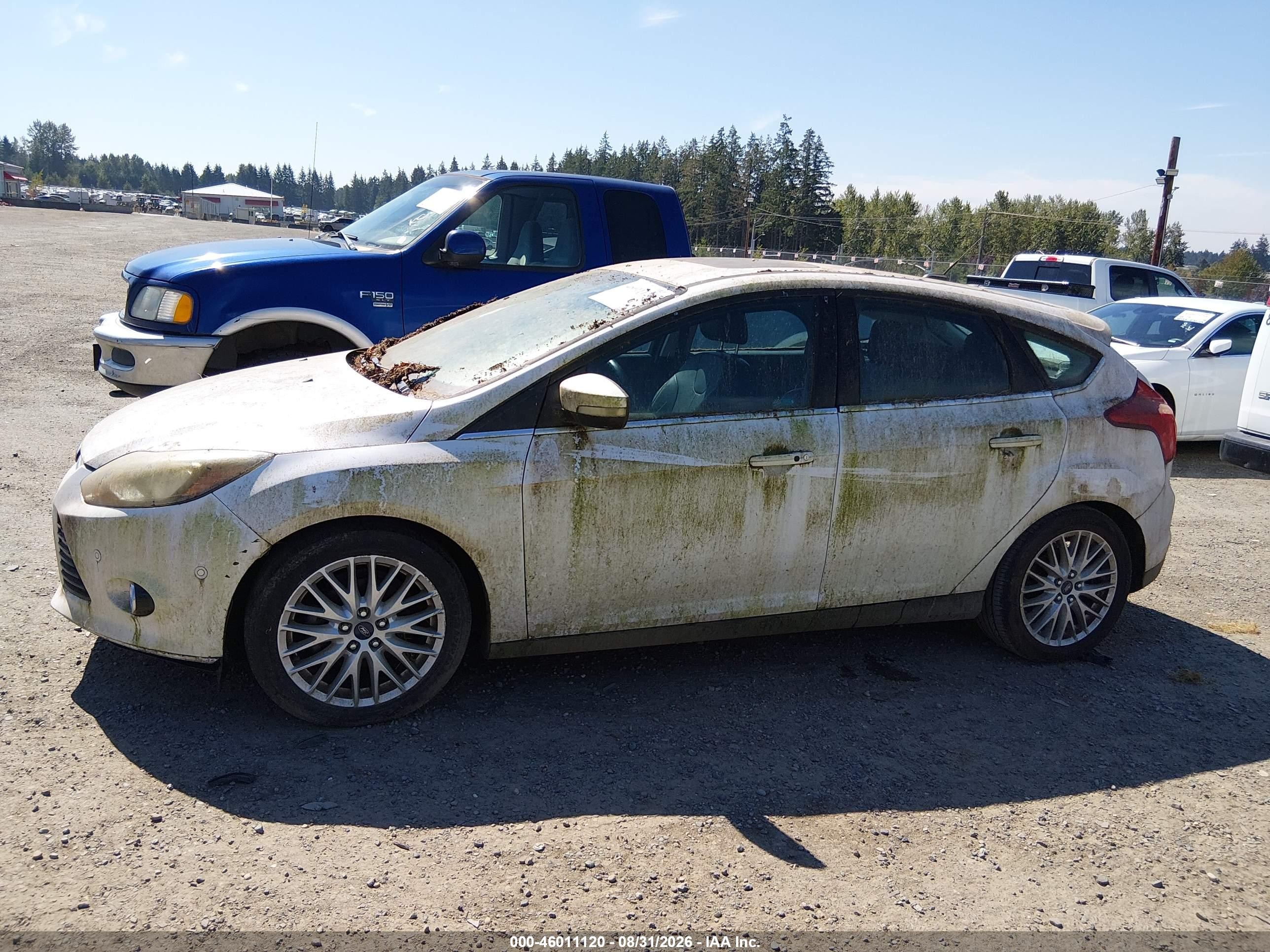 2013 Ford Focus Titanium Белый vin: 1FADP3N28DL348356