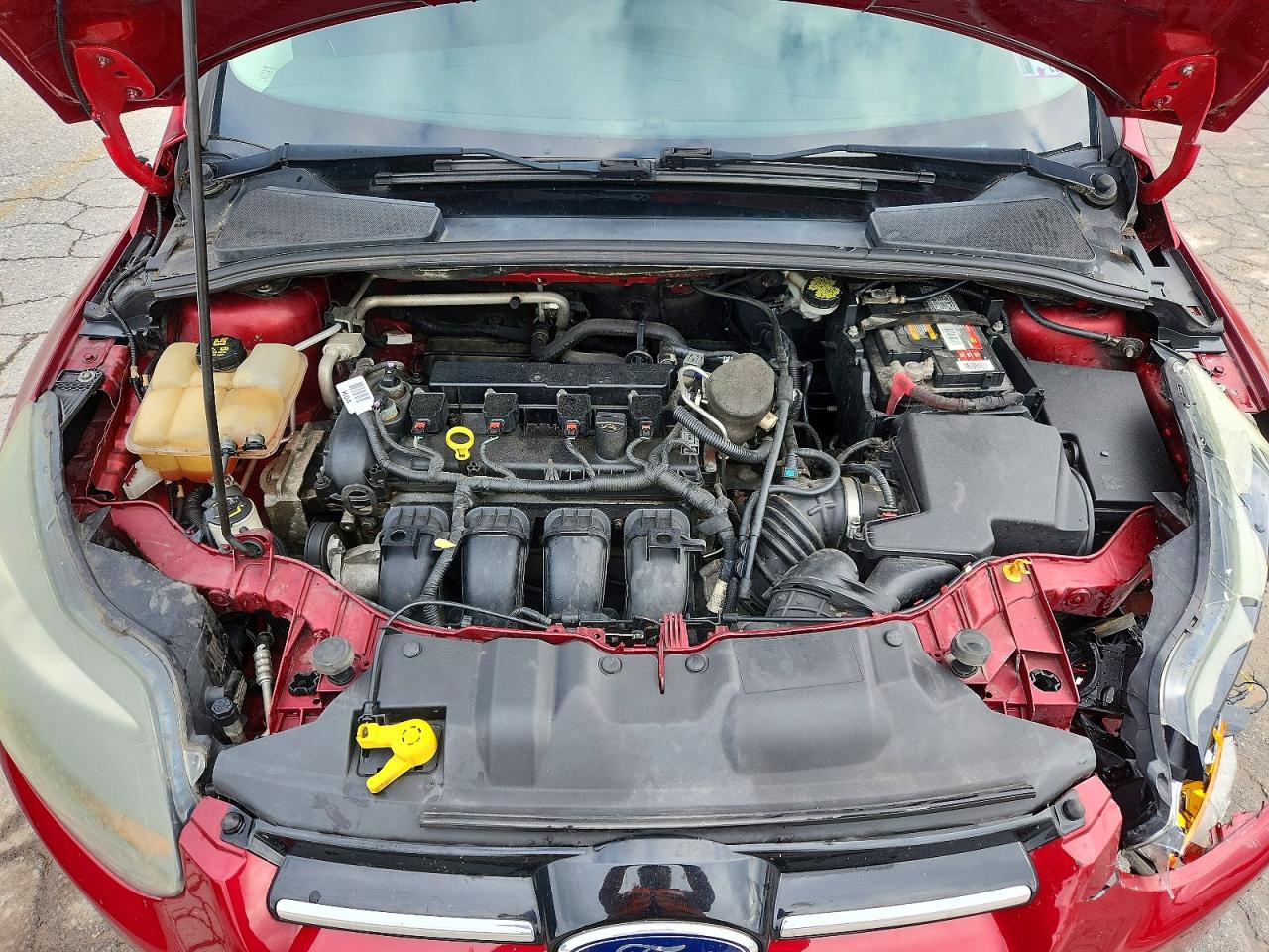 2014 Ford Focus Titanium Red vin: 1FADP3N28EL403731