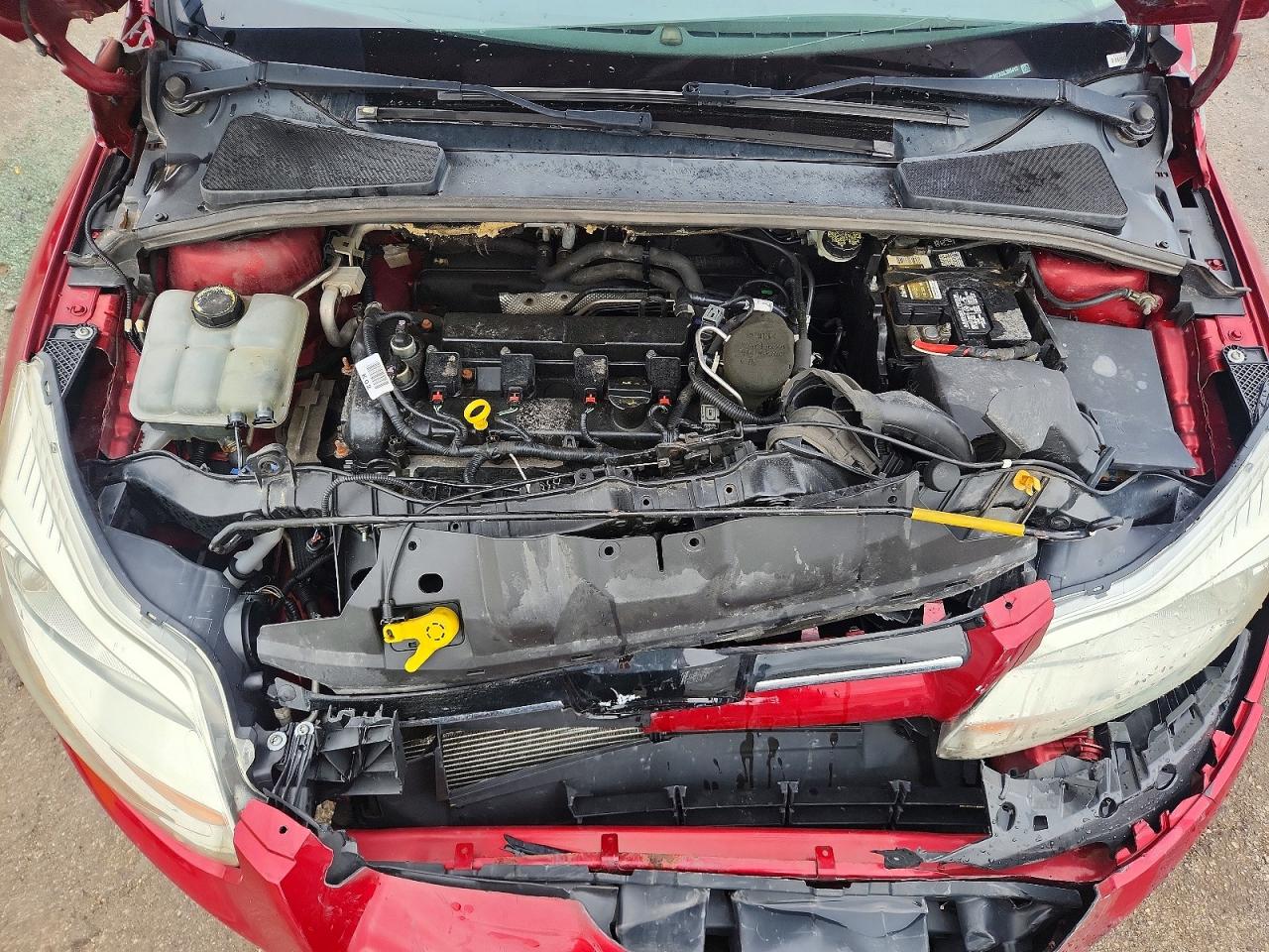 2013 Ford Focus Titanium Red vin: 1FADP3N2XDL360413
