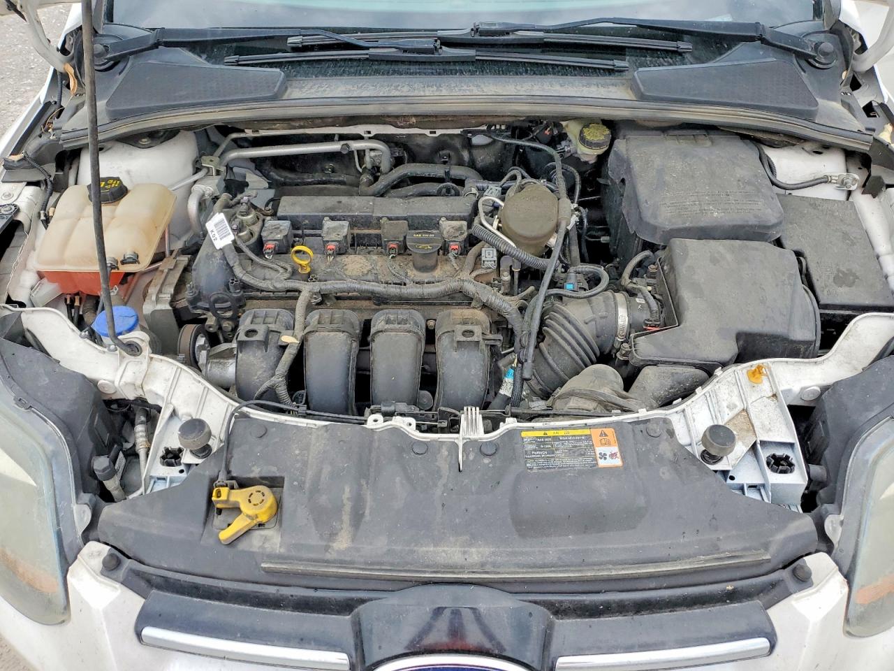 2014 Ford Focus Titanium White vin: 1FADP3N2XEL111725