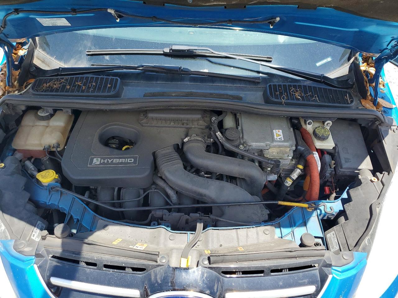 2013 Ford C-max Sel Blue vin: 1FADP5BU1DL536864