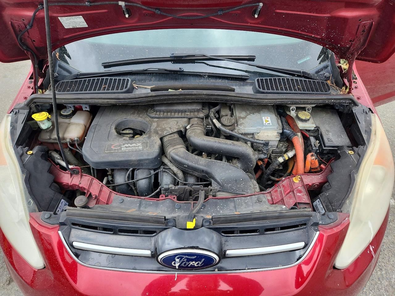 2013 Ford C-max Premium Red vin: 1FADP5CUXDL516496