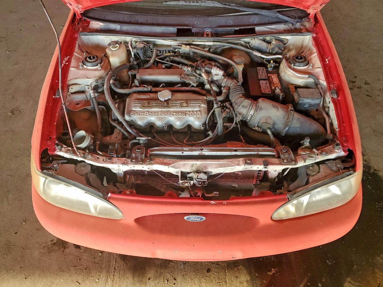 1998 Ford Escort Lx Red vin: 1FAFP10P0WW167866