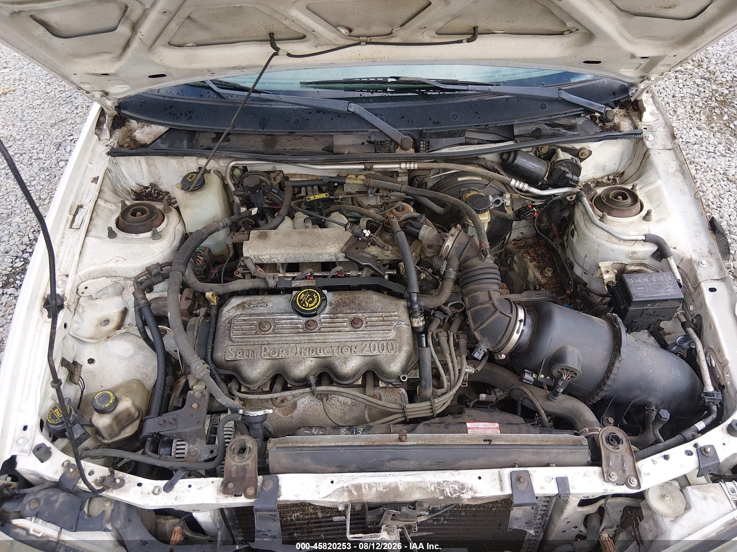 1998 Ford Escort Lx White vin: 1FAFP10P8WW301006
