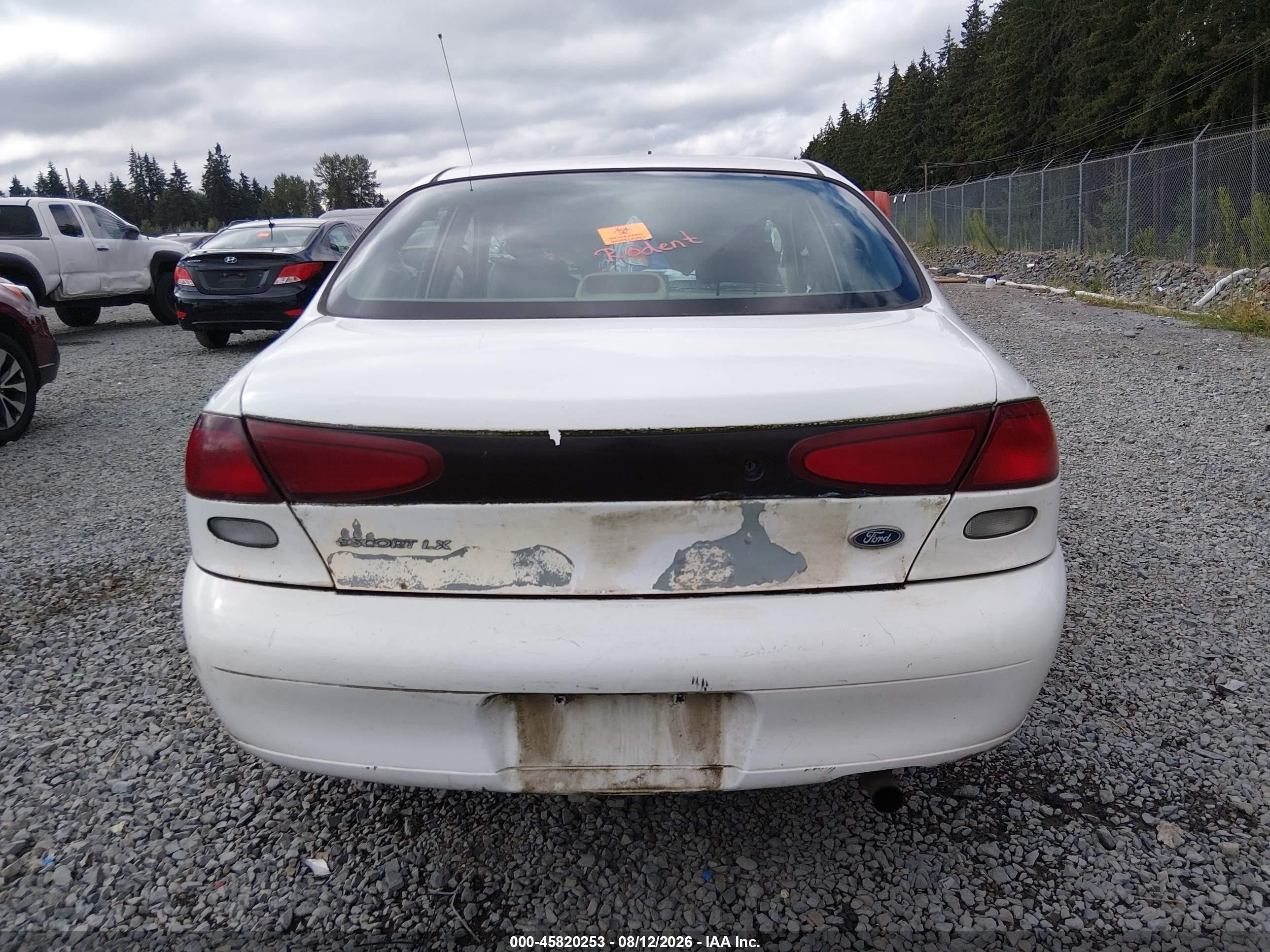 1998 Ford Escort Lx White vin: 1FAFP10P8WW301006