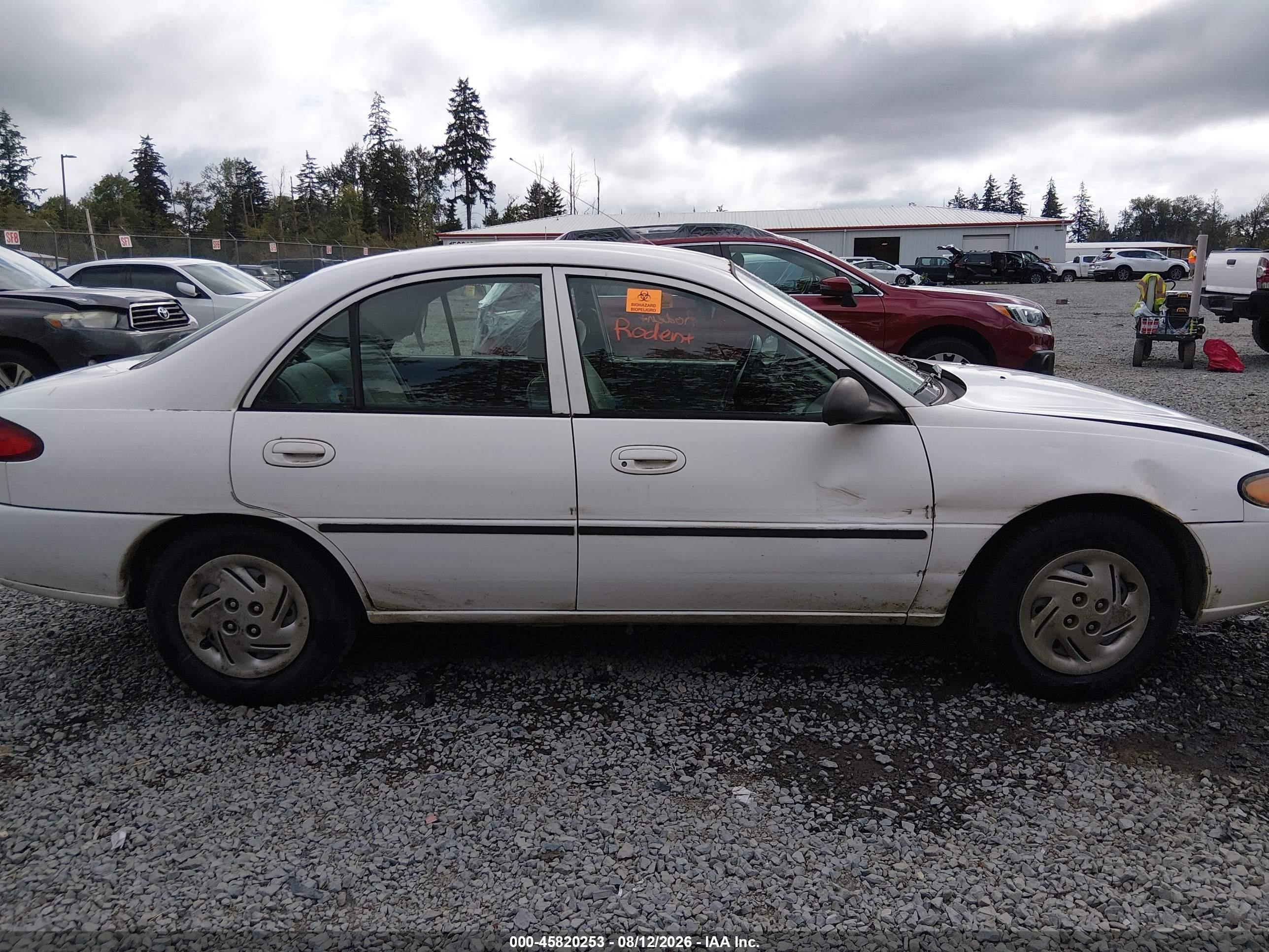 1998 Ford Escort Lx White vin: 1FAFP10P8WW301006