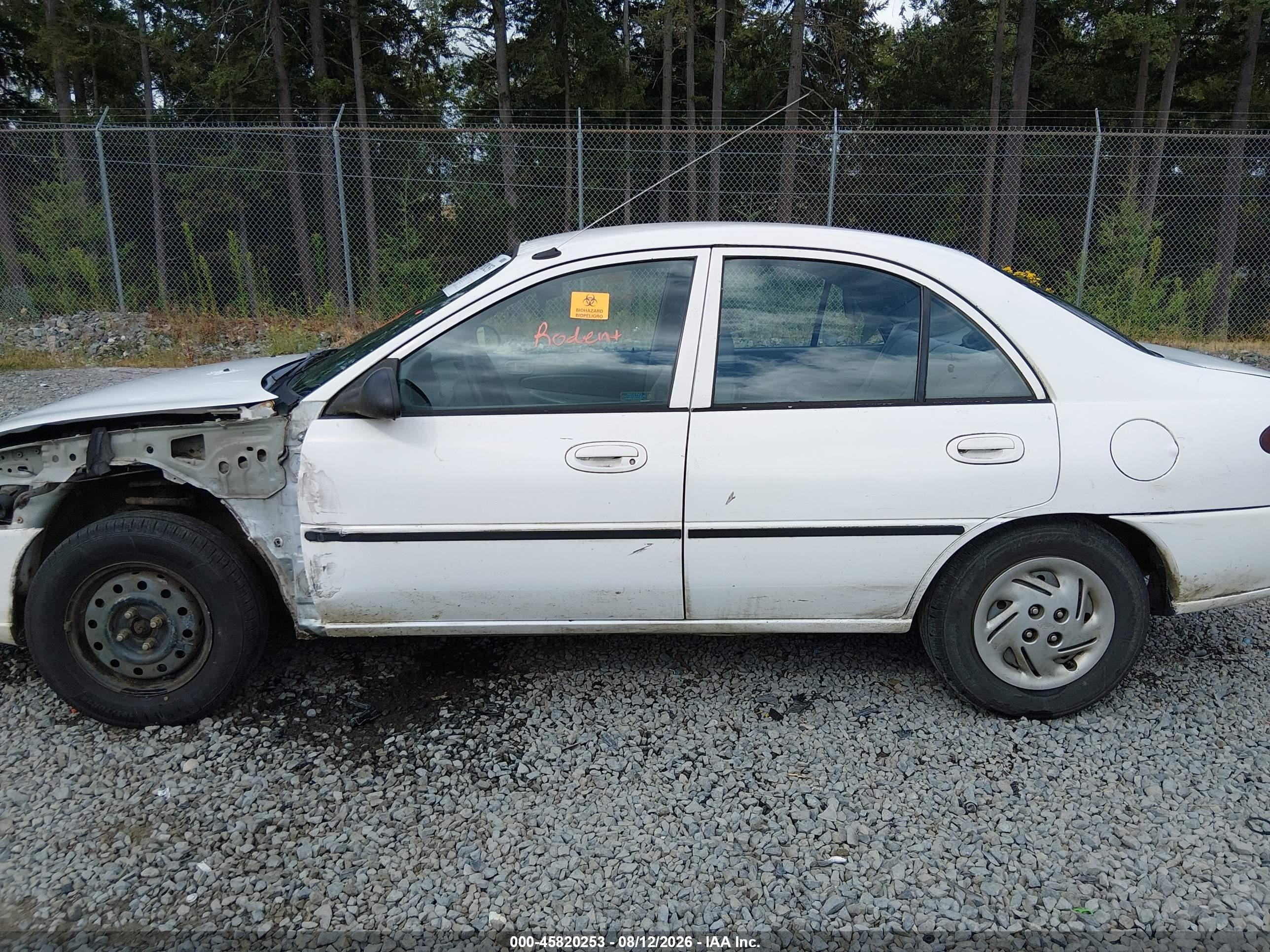 1998 Ford Escort Lx White vin: 1FAFP10P8WW301006