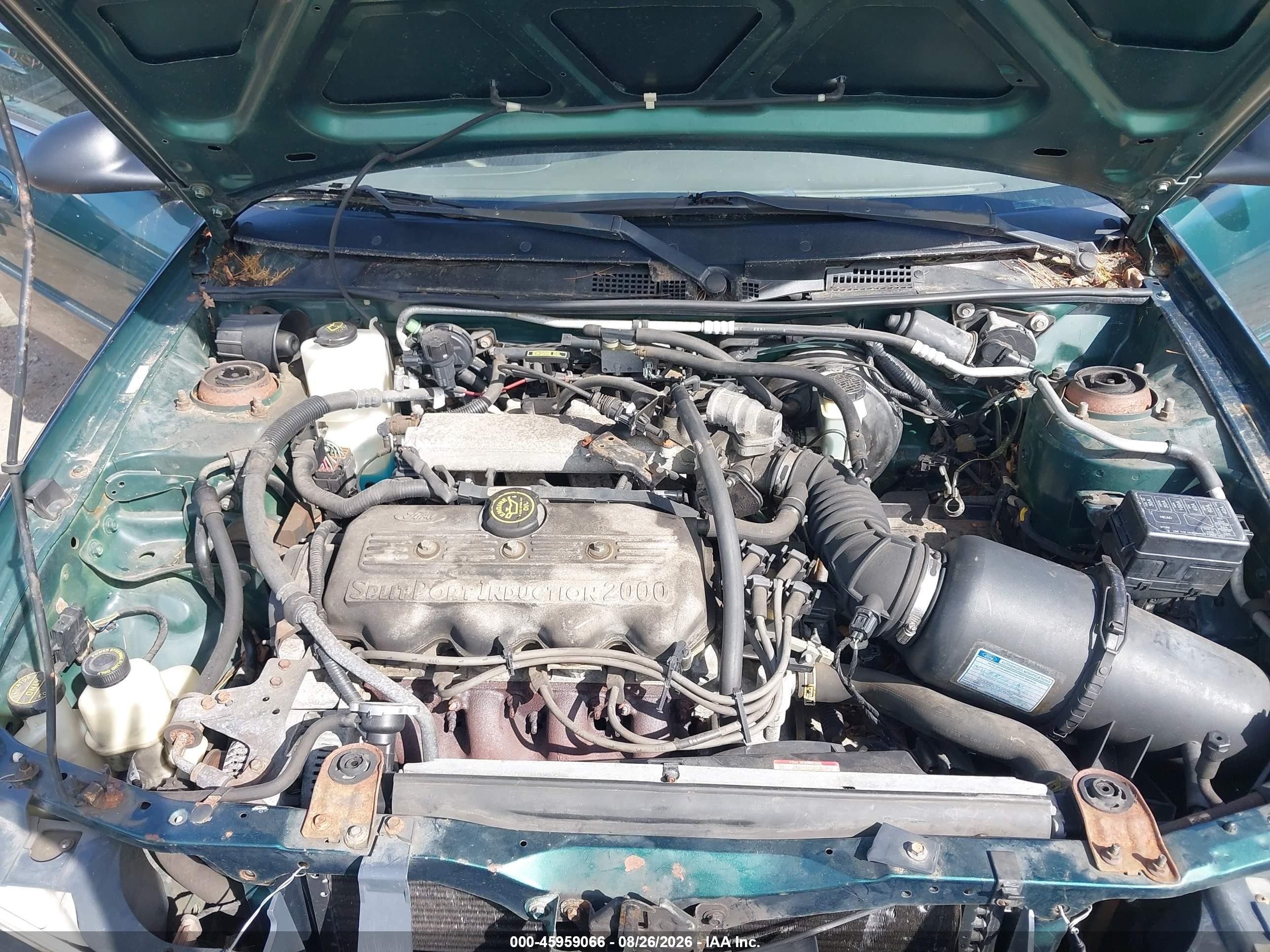 1999 Ford Escort Se Green vin: 1FAFP13P3XW286783