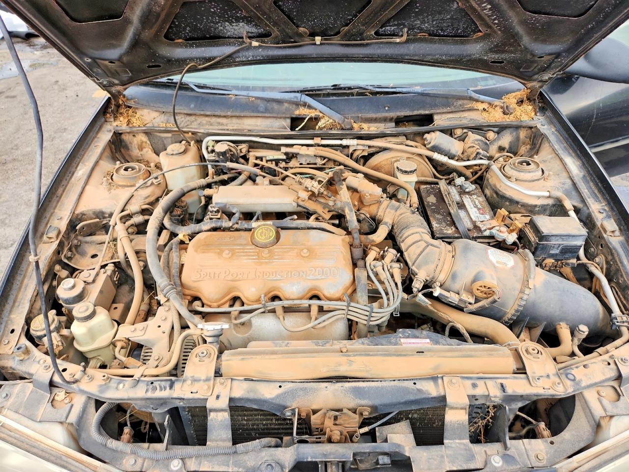 1998 Ford Escort Se Черный vin: 1FAFP13P4WW285396