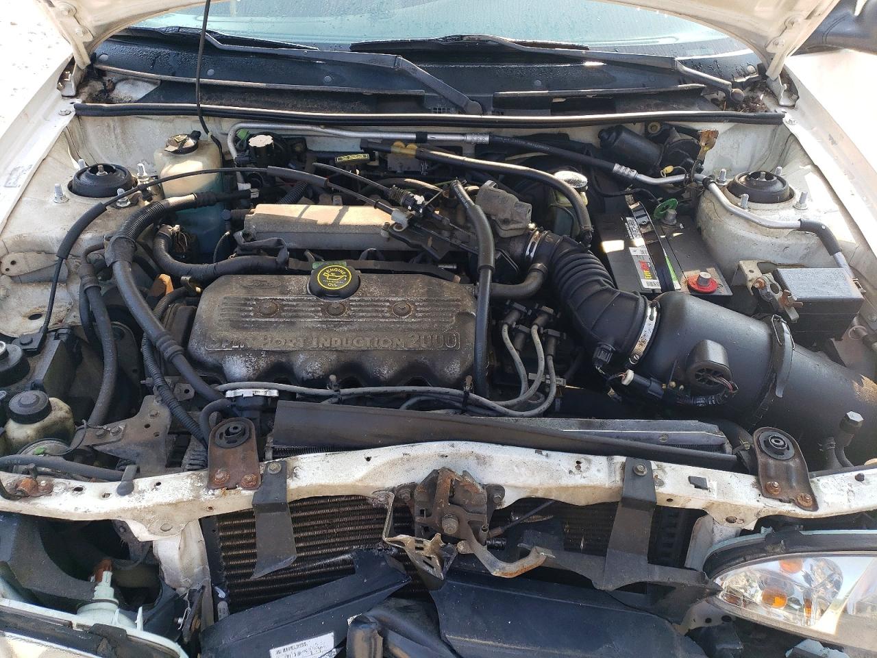 1998 Ford Escort Se Белый vin: 1FAFP13P6WW298246