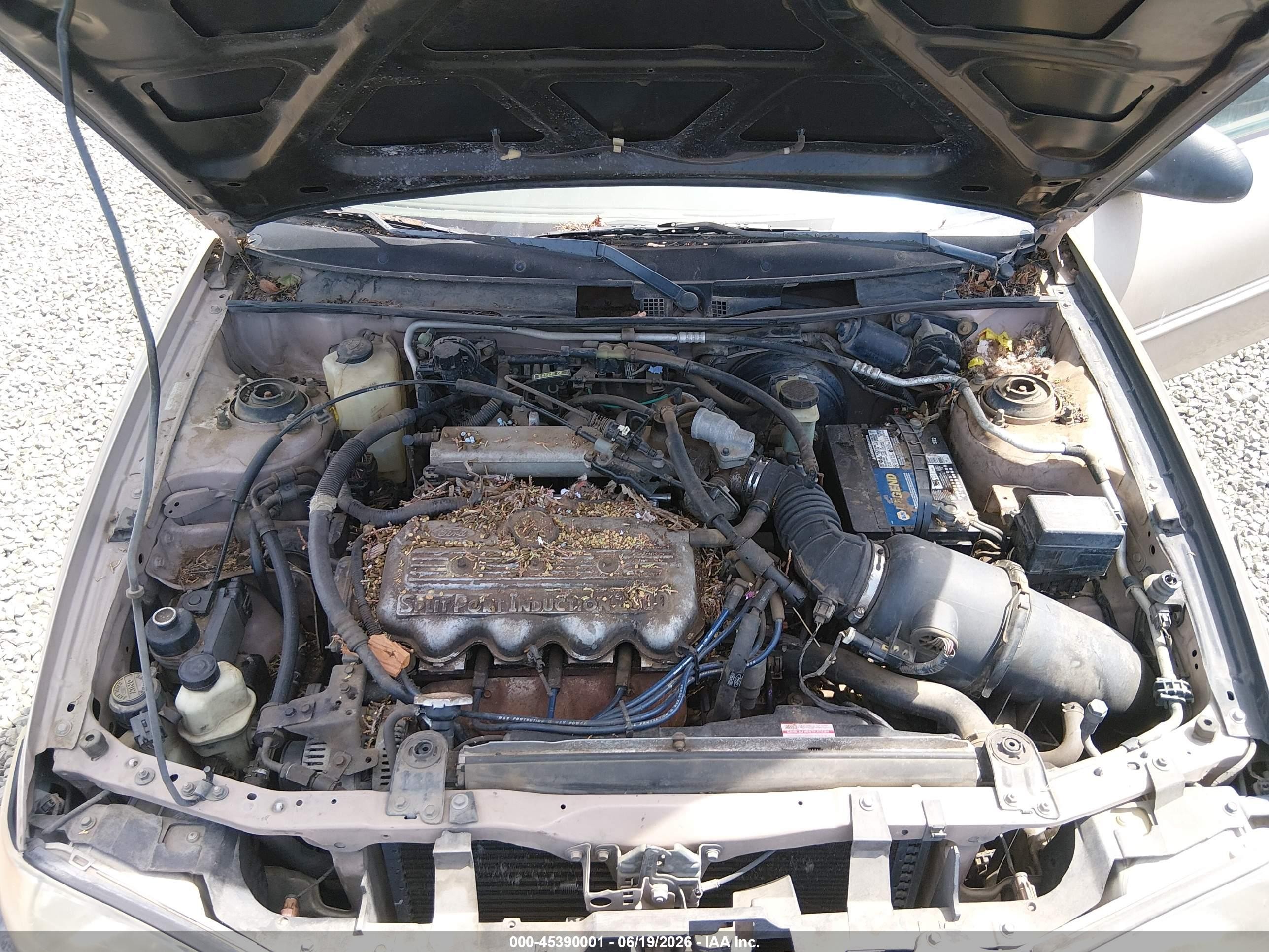1998 Ford Escort Se Gold vin: 1FAFP13P9WW291761