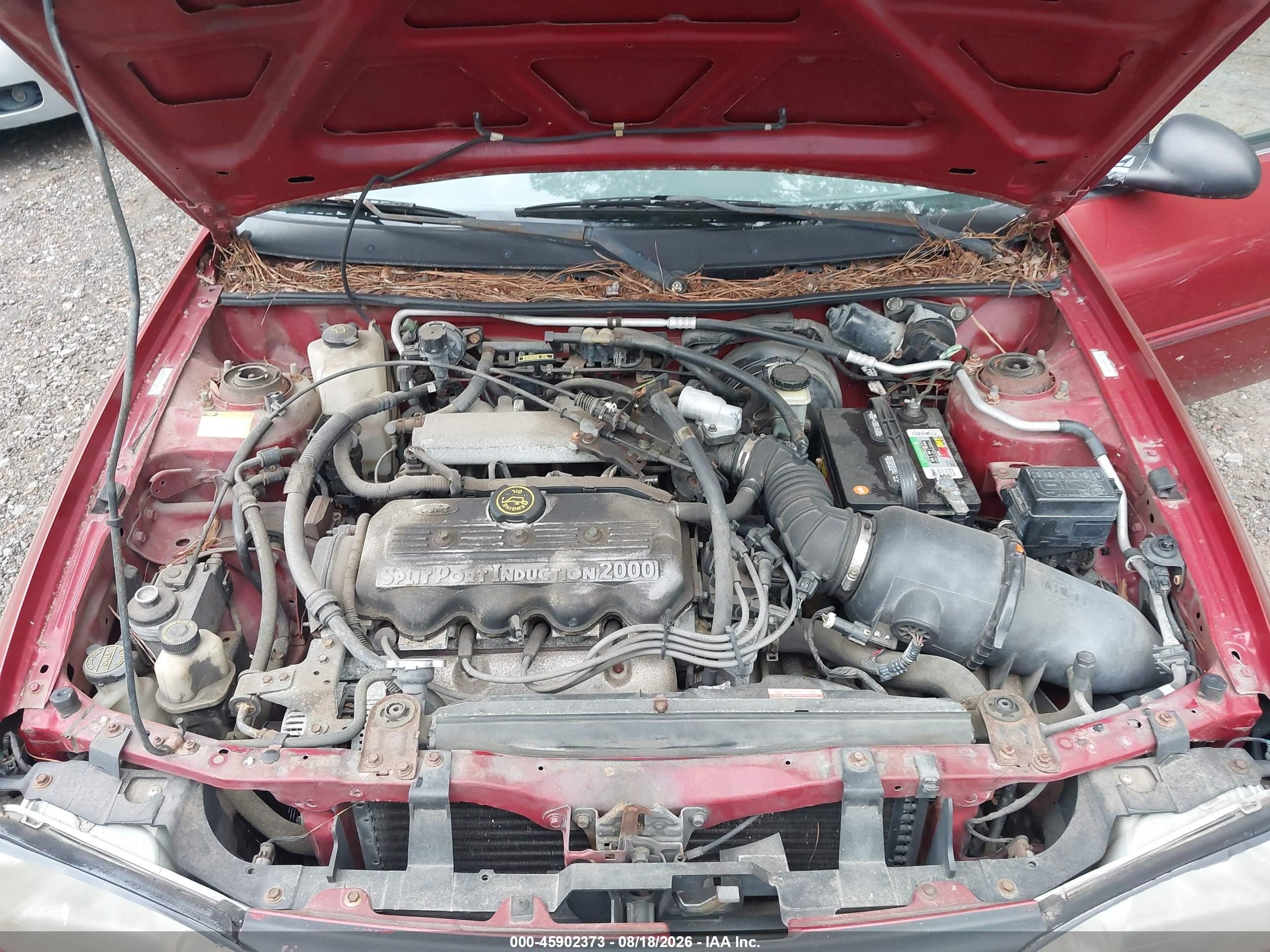 1999 Ford Escort Se Red vin: 1FAFP13PXXW248323