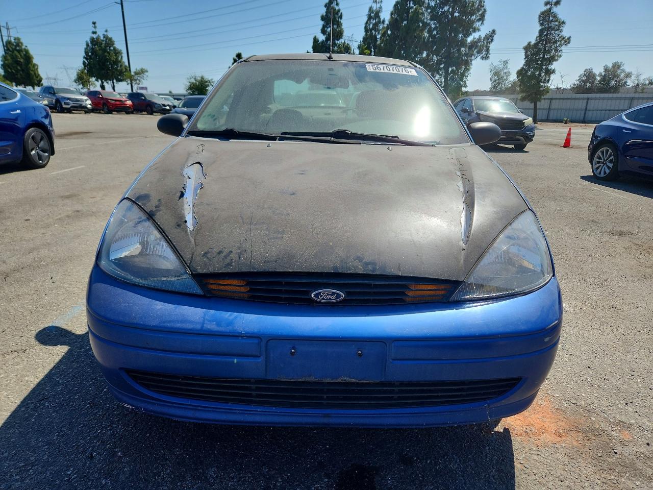 2003 Ford Focus Se Comfort Blue vin: 1FAFP34363W307868