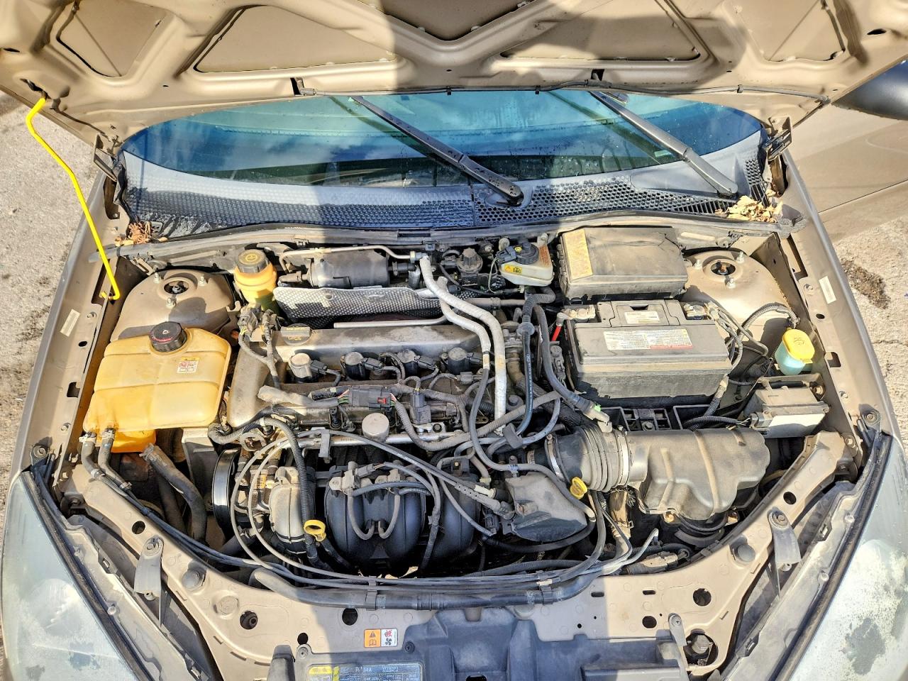 2004 Ford Focus Ztw Gold vin: 1FAFP35Z54W116561