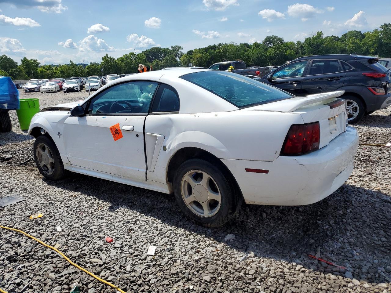 2000 Ford Mustang White vin: 1FAFP4040YF241572