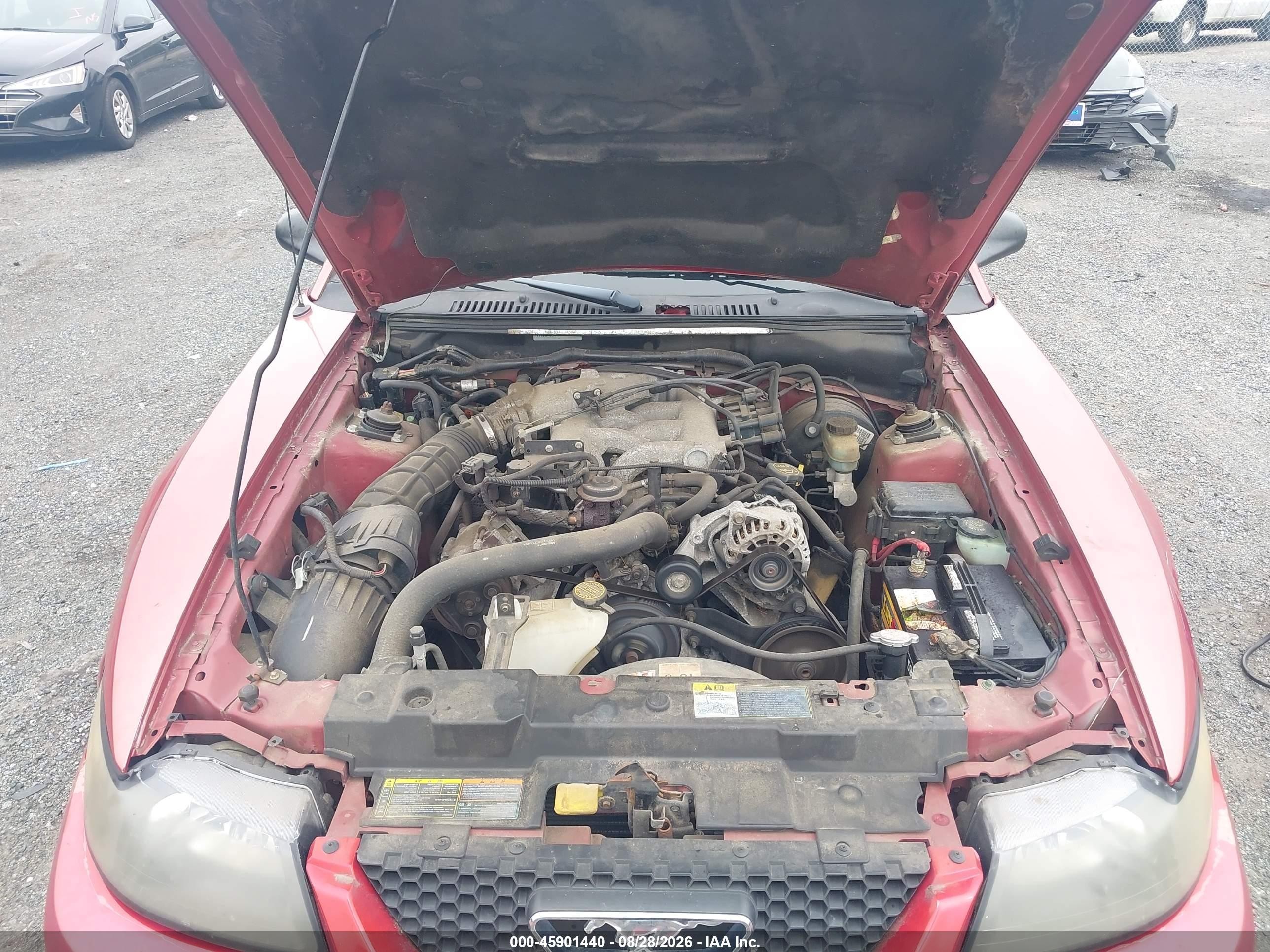 2001 Ford Mustang   Red vin: 1FAFP40411F239562