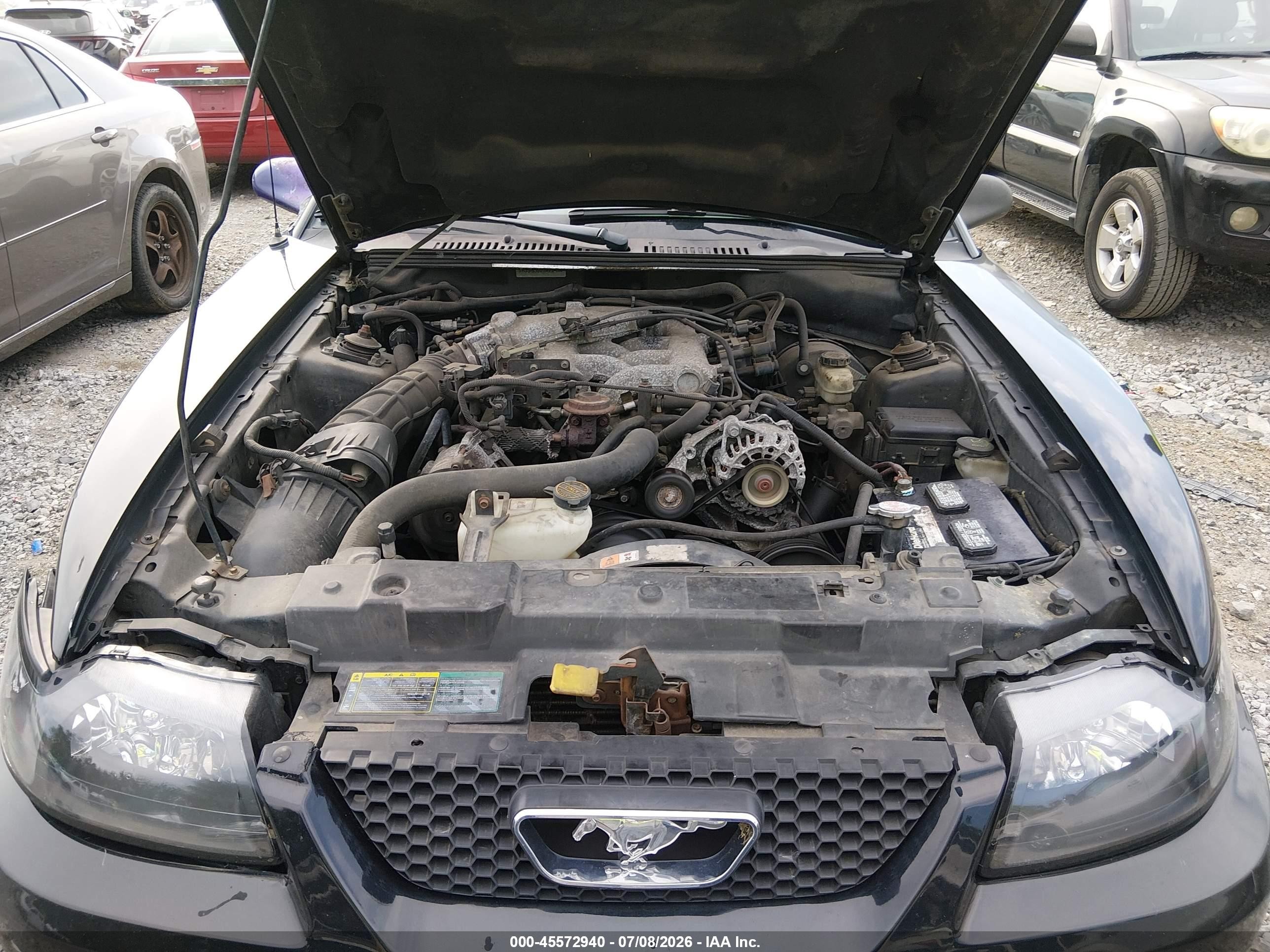 2002 Ford Mustang Deluxe/premium/standard Black vin: 1FAFP40412F205655