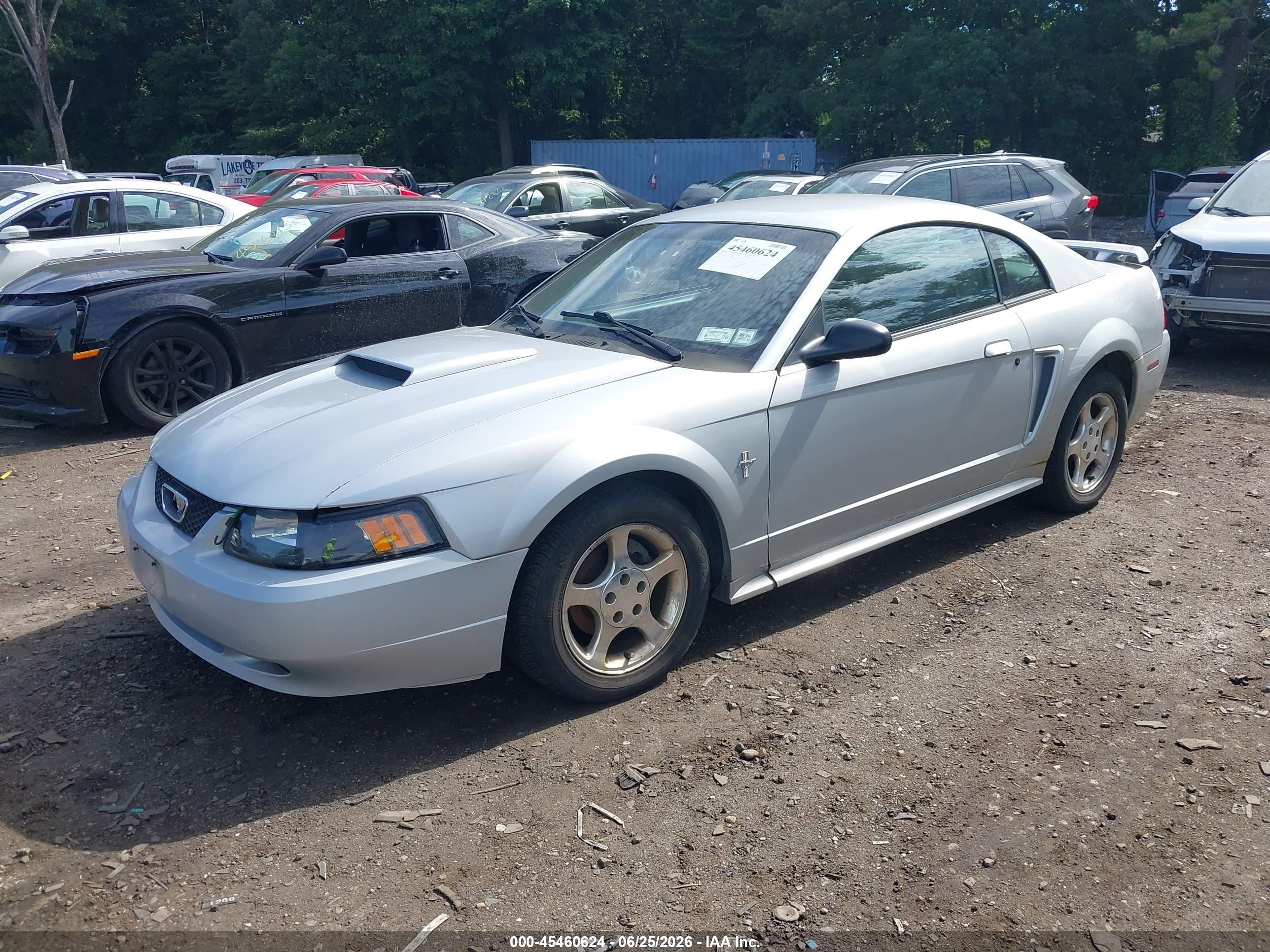 2003 Ford Mustang   Серебряный vin: 1FAFP40413F312898