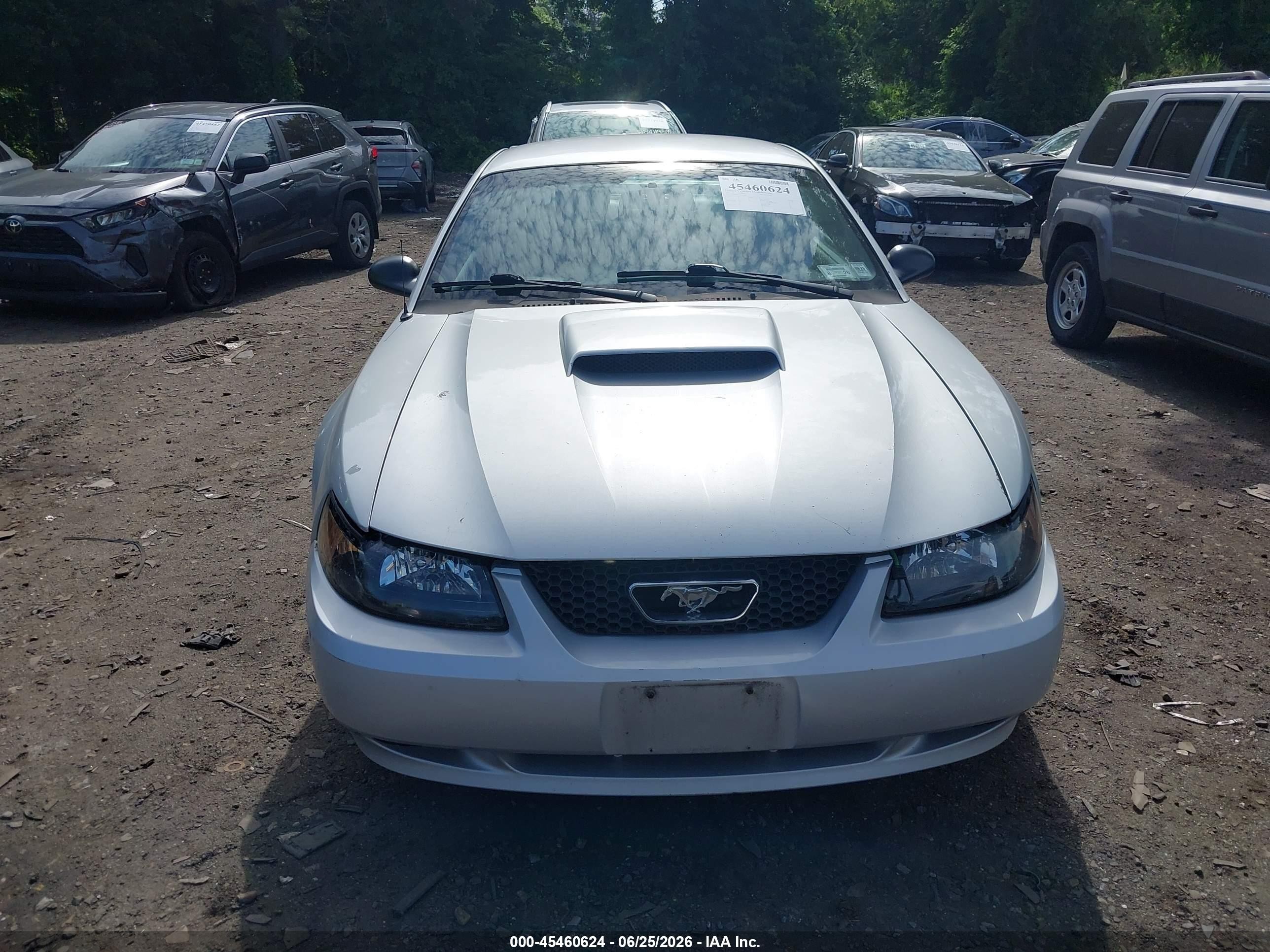 2003 Ford Mustang   Серебряный vin: 1FAFP40413F312898
