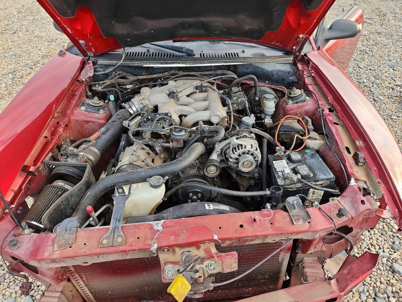 2003 Ford Mustang Red vin: 1FAFP40413F375712