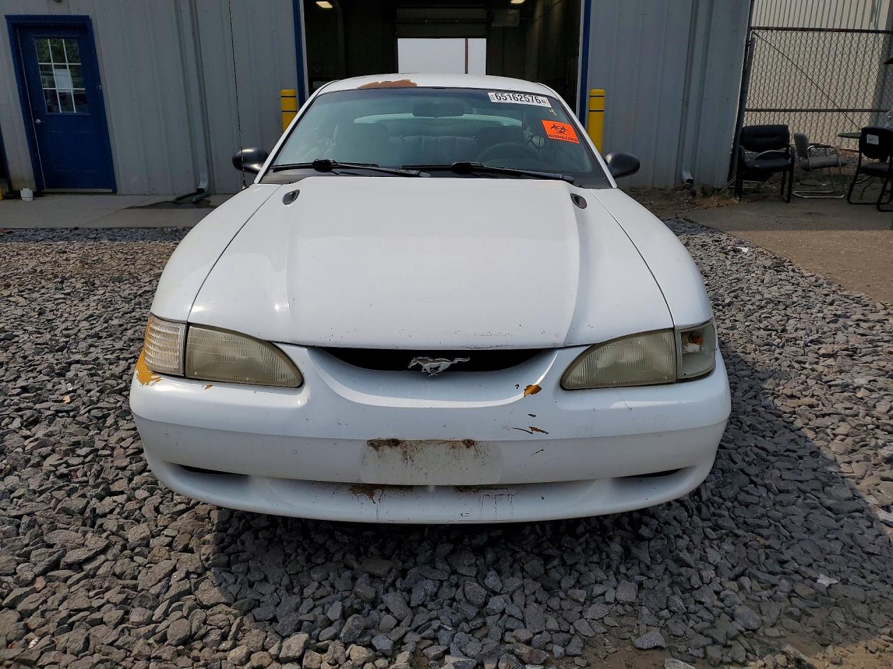 1998 Ford Mustang Белый vin: 1FAFP4041WF186692