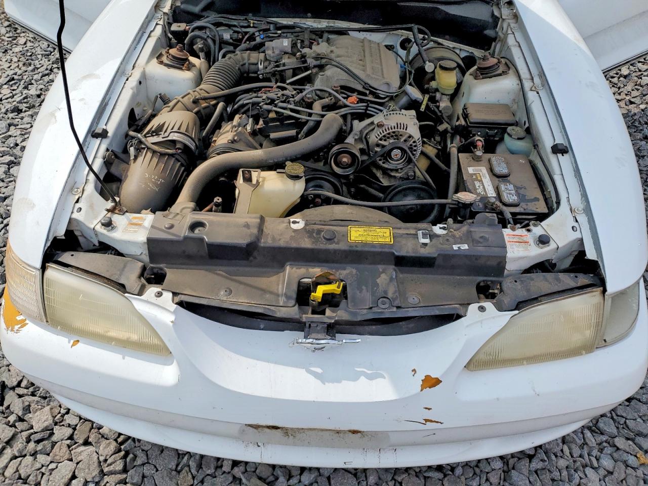 1998 Ford Mustang Белый vin: 1FAFP4041WF186692