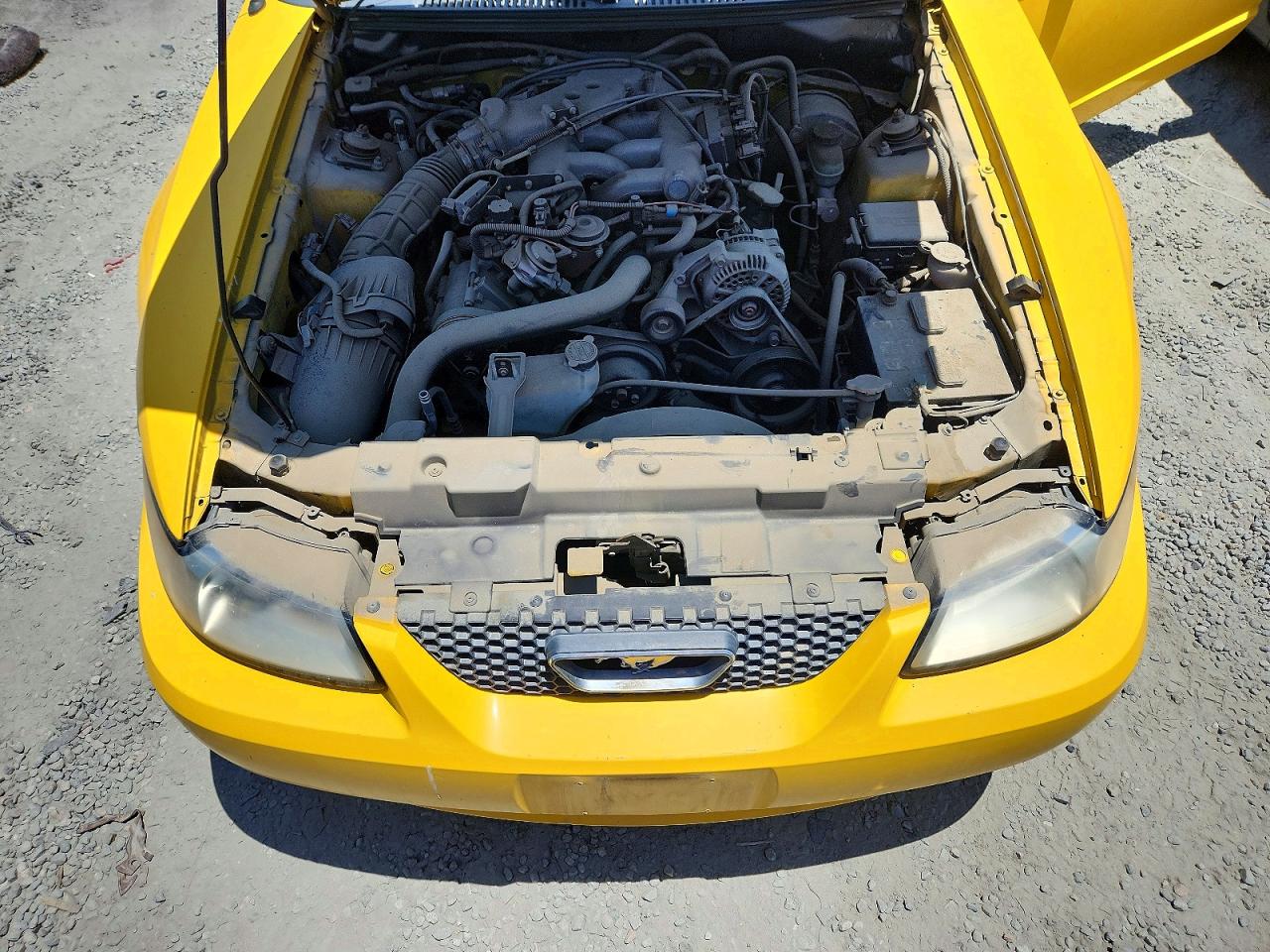 1999 Ford Mustang Yellow vin: 1FAFP4041XF235259