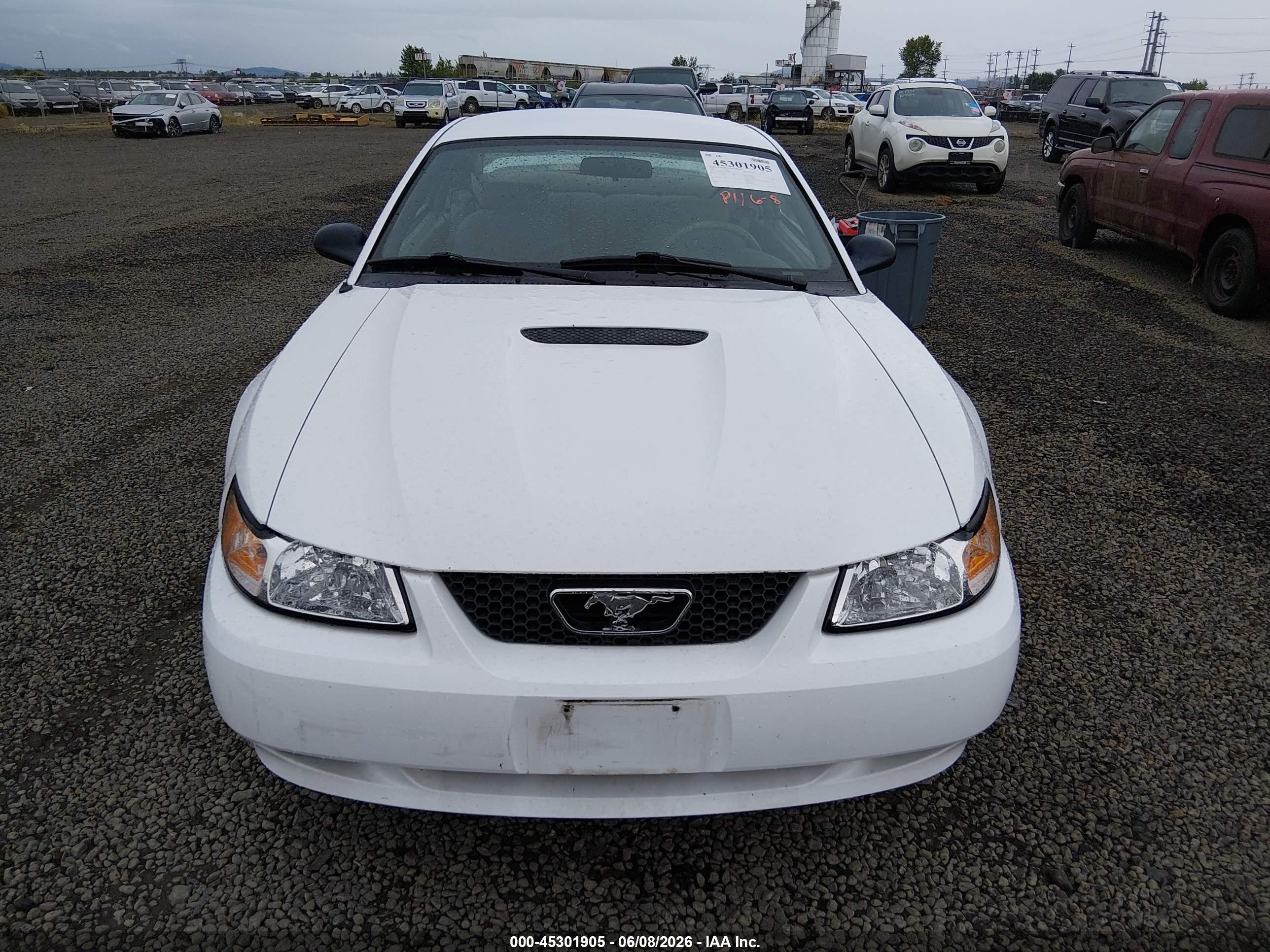 2000 Ford Mustang   White vin: 1FAFP4041YF130531