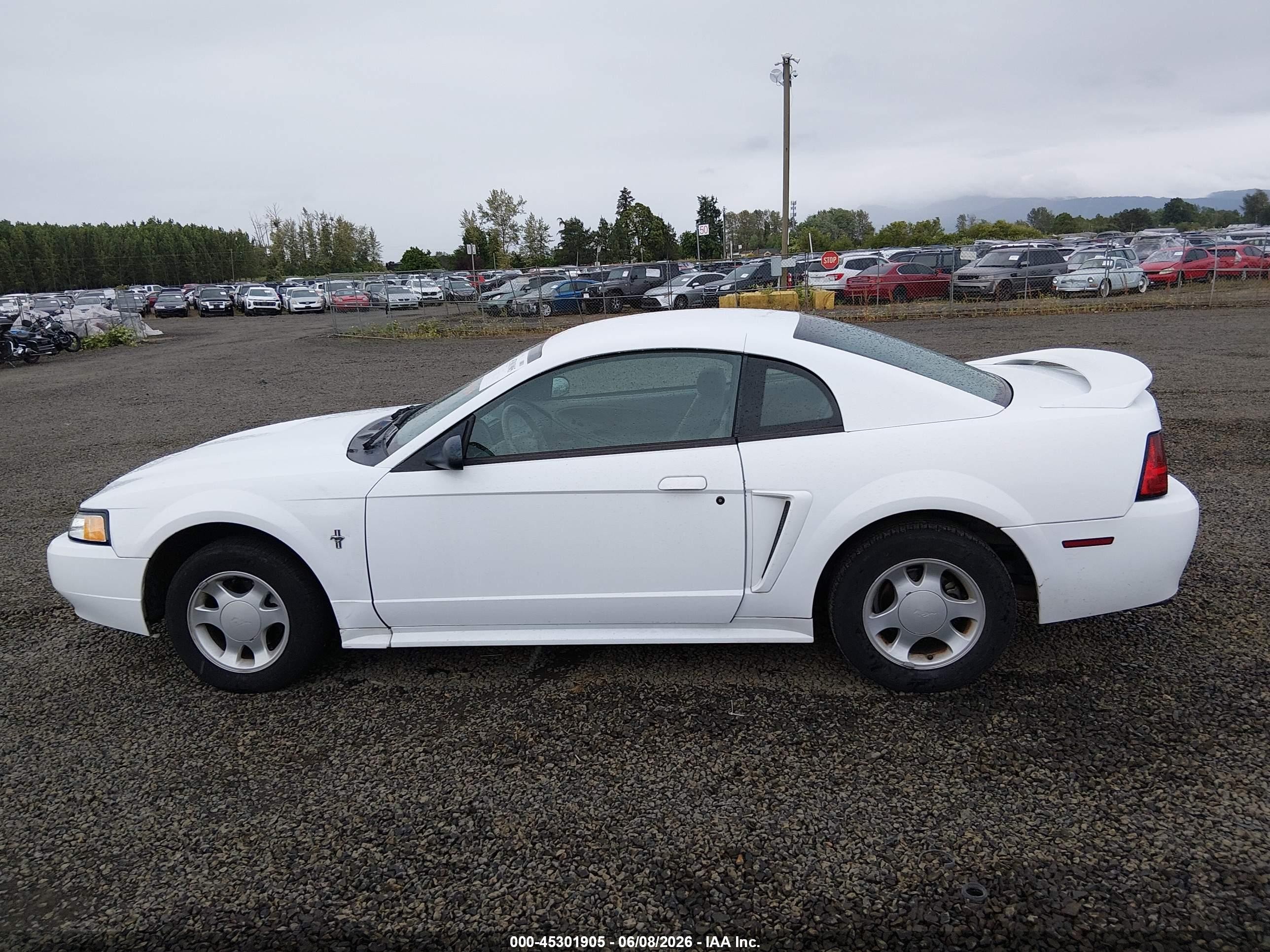 2000 Ford Mustang   White vin: 1FAFP4041YF130531