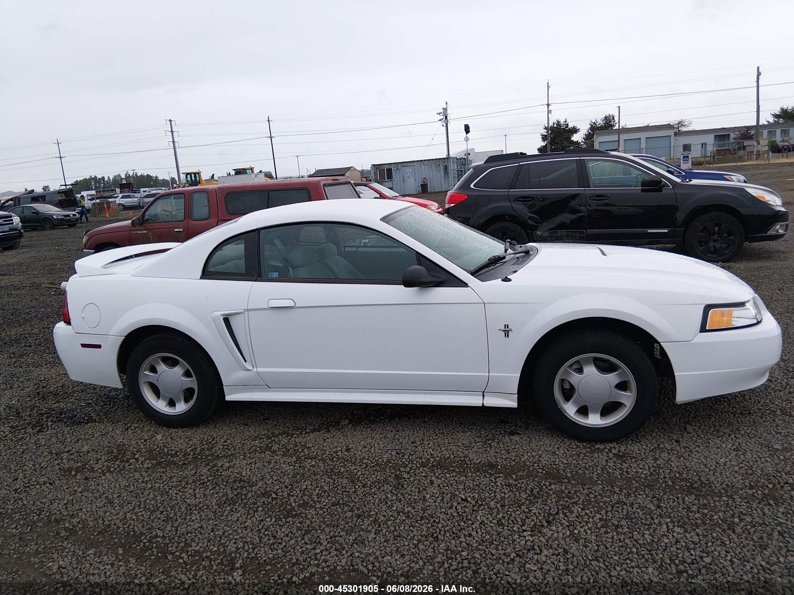 2000 Ford Mustang   White vin: 1FAFP4041YF130531