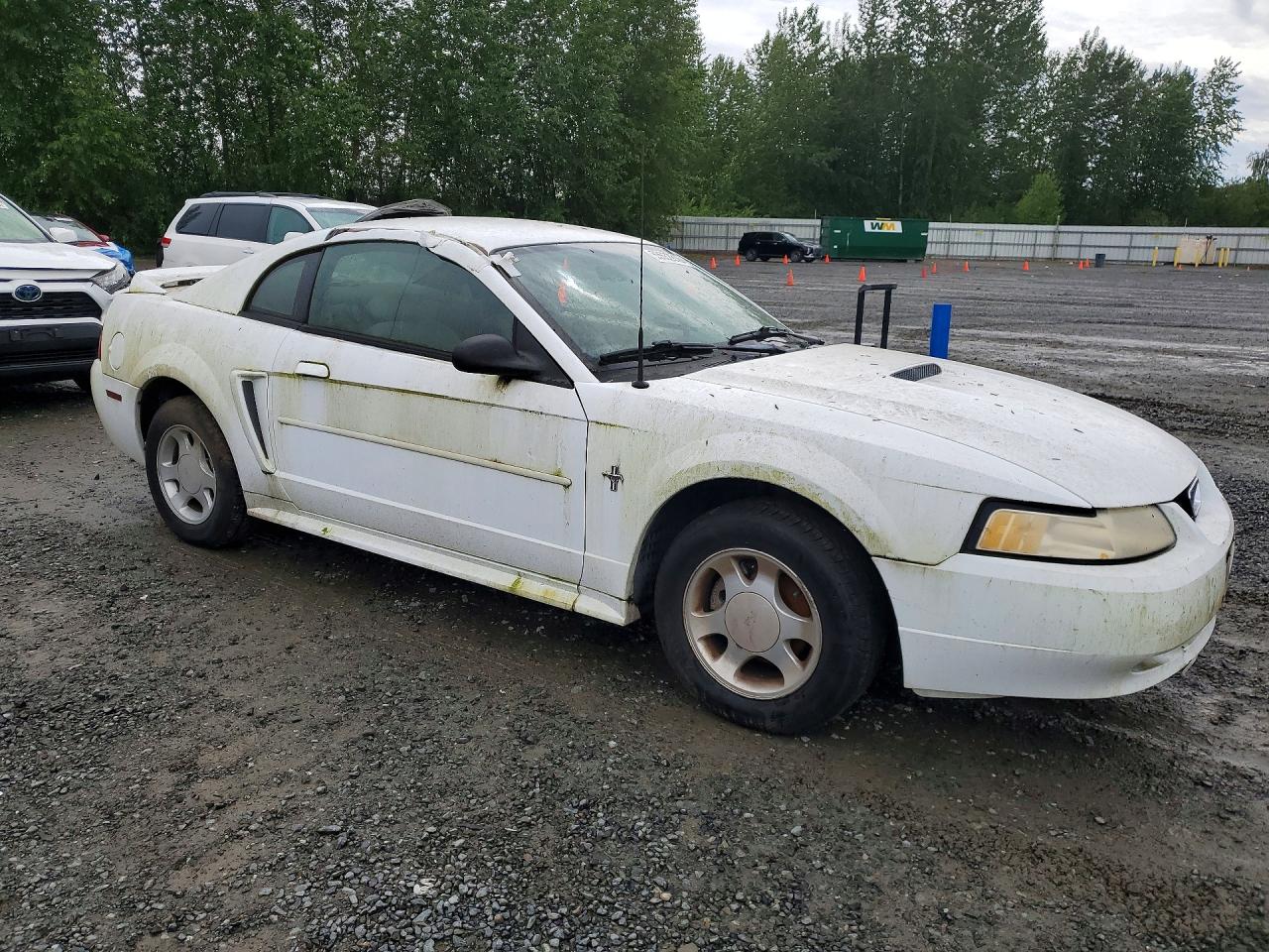 2000 Ford Mustang White vin: 1FAFP4041YF224778