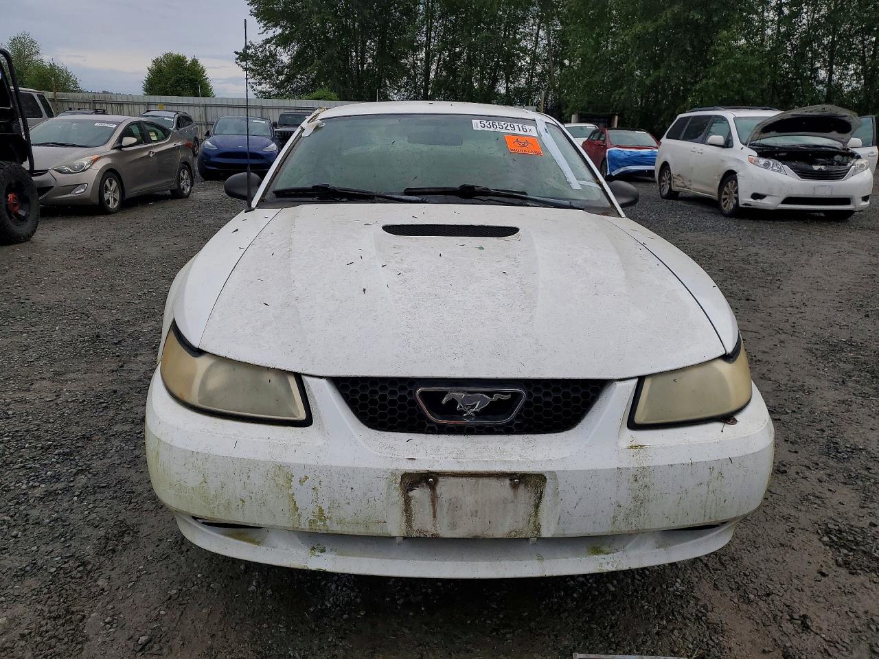 2000 Ford Mustang White vin: 1FAFP4041YF224778