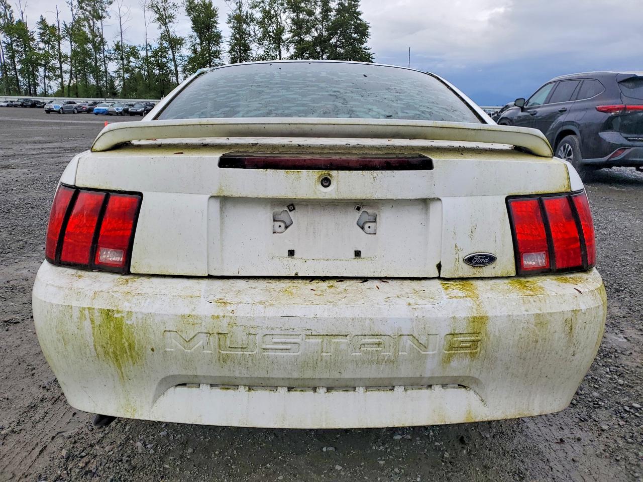 2000 Ford Mustang White vin: 1FAFP4041YF224778