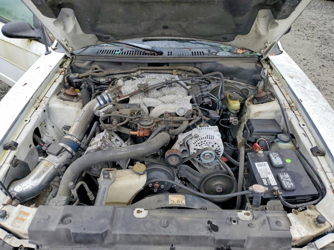 2000 Ford Mustang White vin: 1FAFP4041YF224778