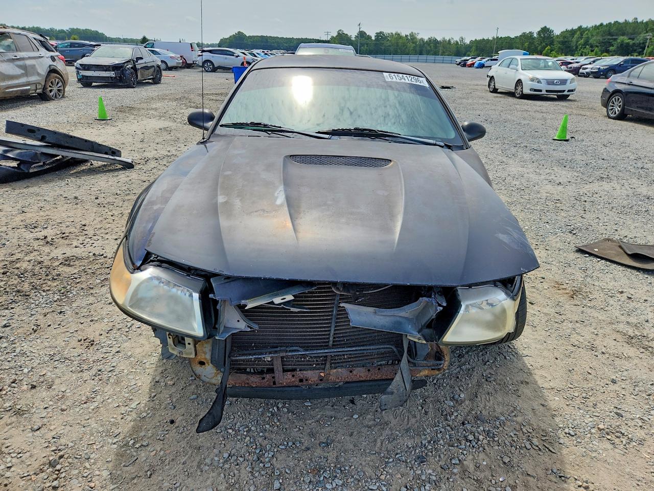 2001 Ford Mustang Black vin: 1FAFP40421F191439
