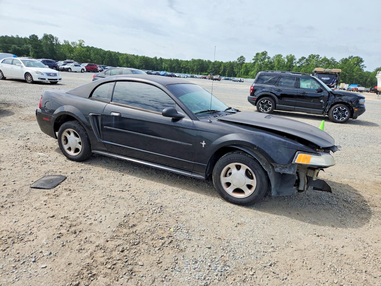 2001 Ford Mustang Black vin: 1FAFP40421F191439