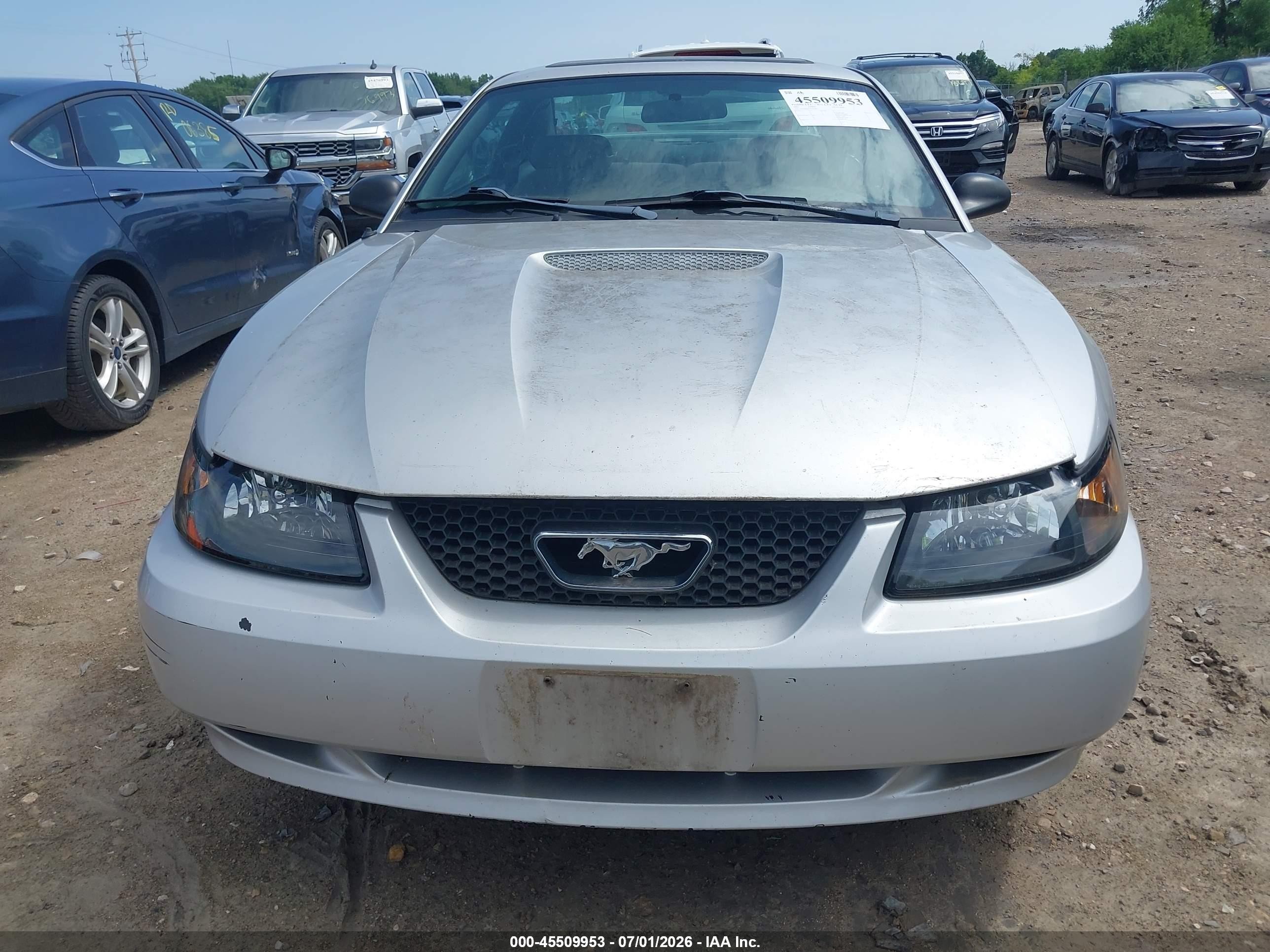 2001 Ford Mustang   Gray vin: 1FAFP40421F203007