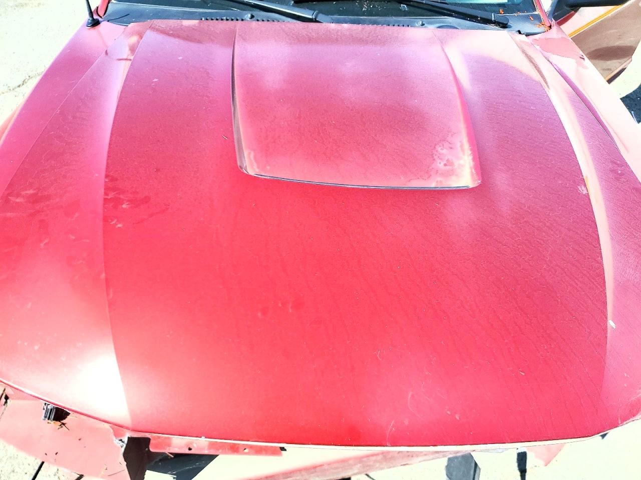 2003 Ford Mustang Red vin: 1FAFP40423F431852