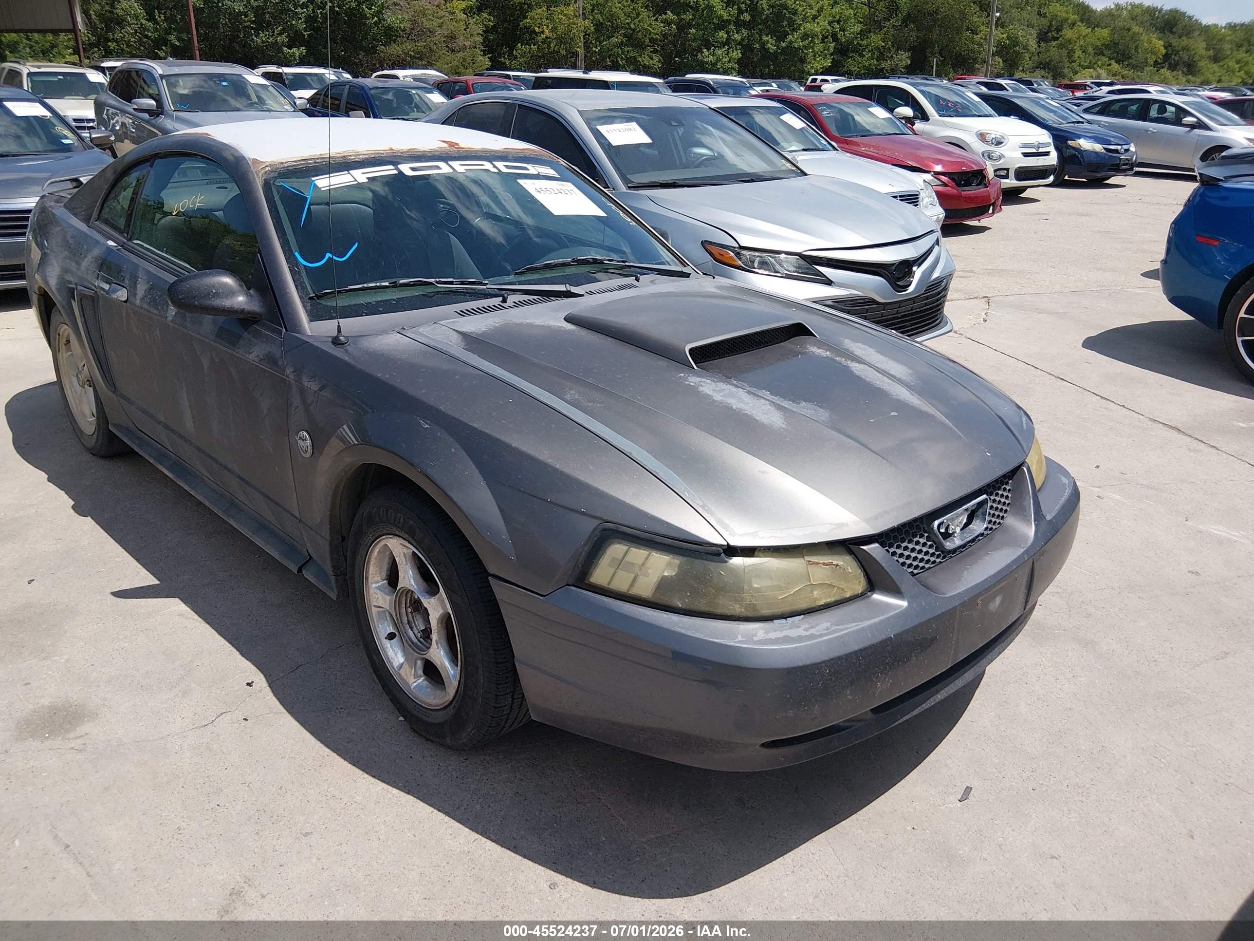 1FAFP40424F131973