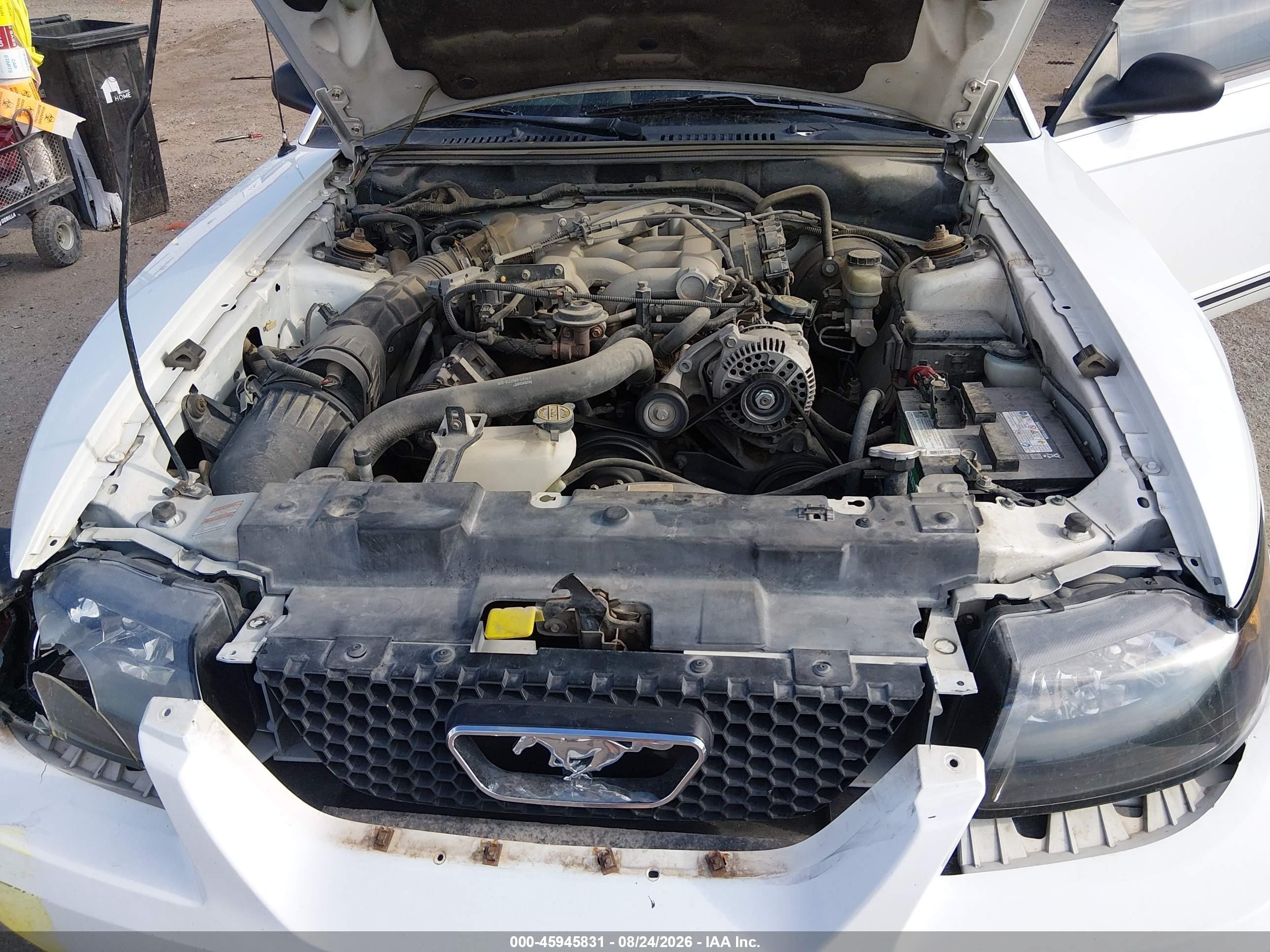 2000 Ford Mustang Белый vin: 1FAFP4042YF215409