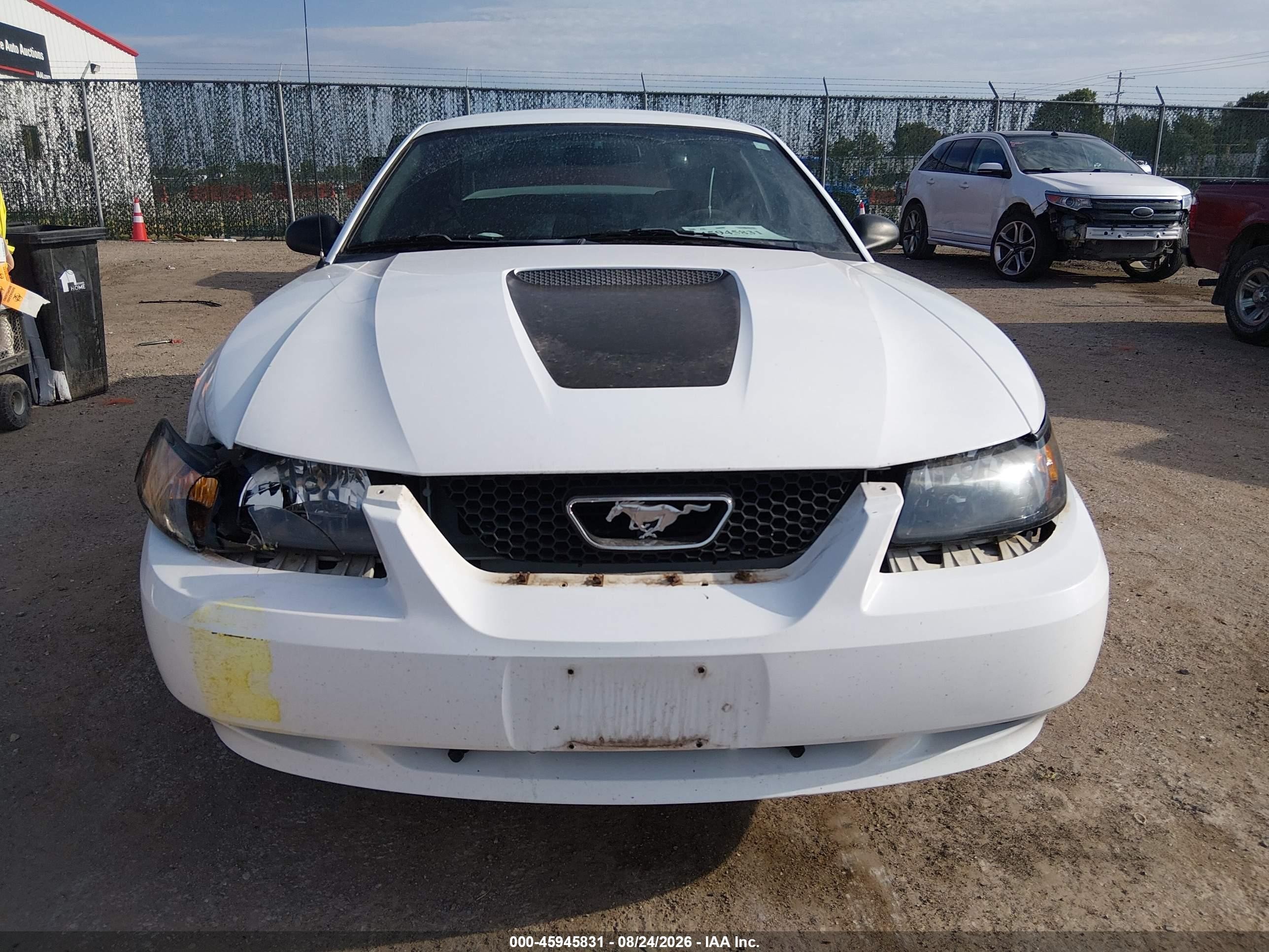 2000 Ford Mustang Белый vin: 1FAFP4042YF215409