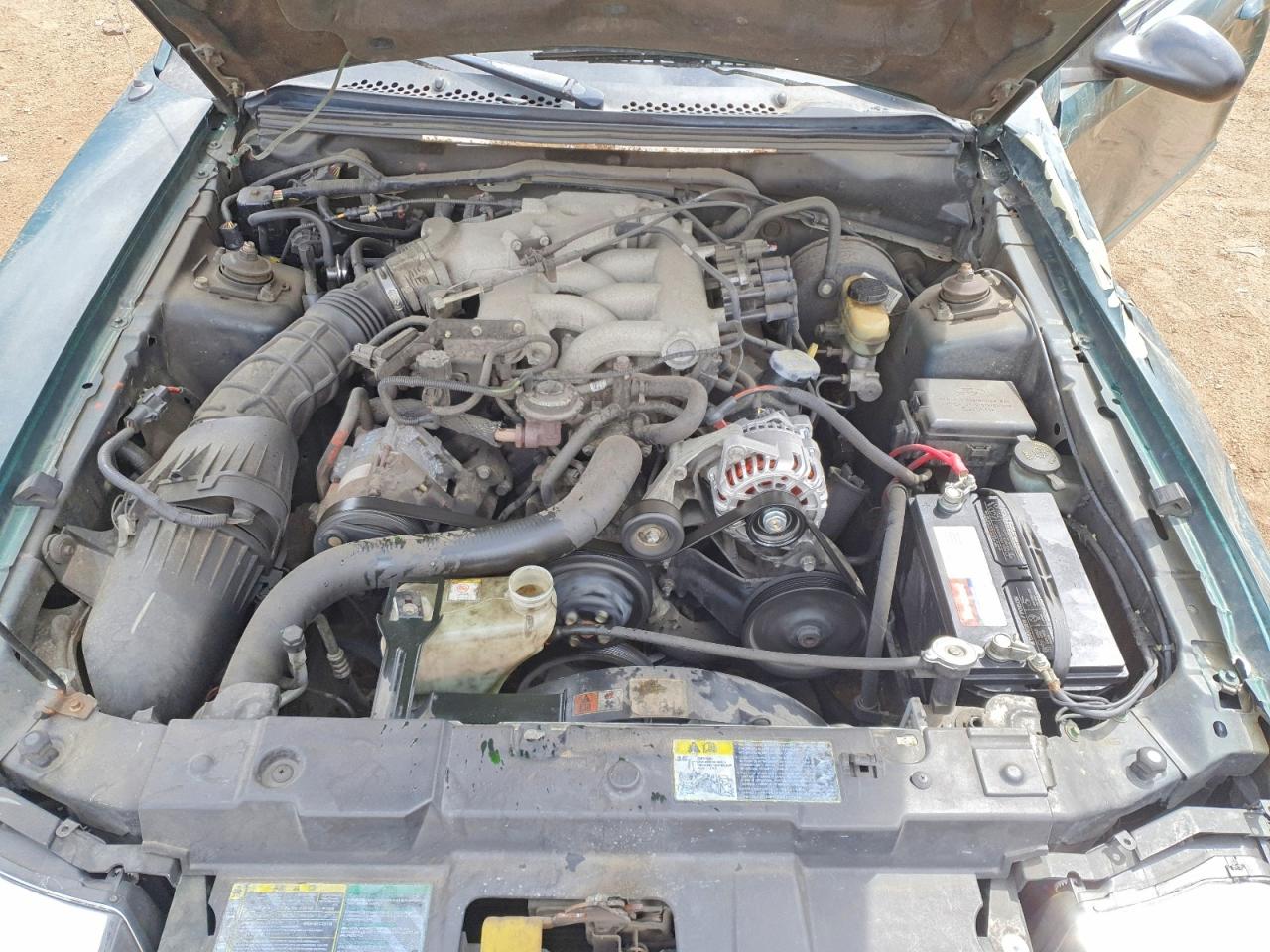 2003 Ford Mustang Green vin: 1FAFP40433F360158
