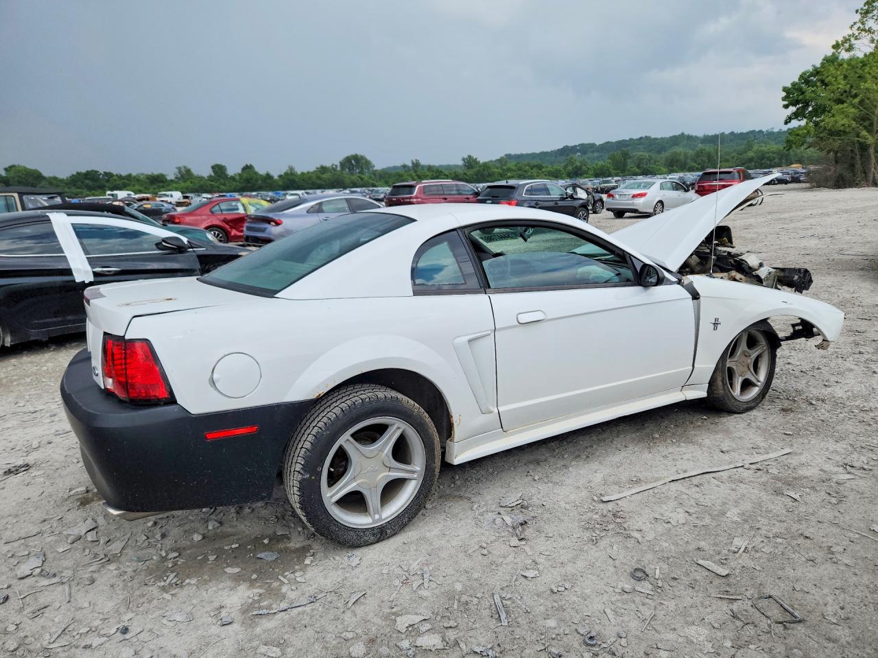 2001 Ford Mustang White vin: 1FAFP40441F121134