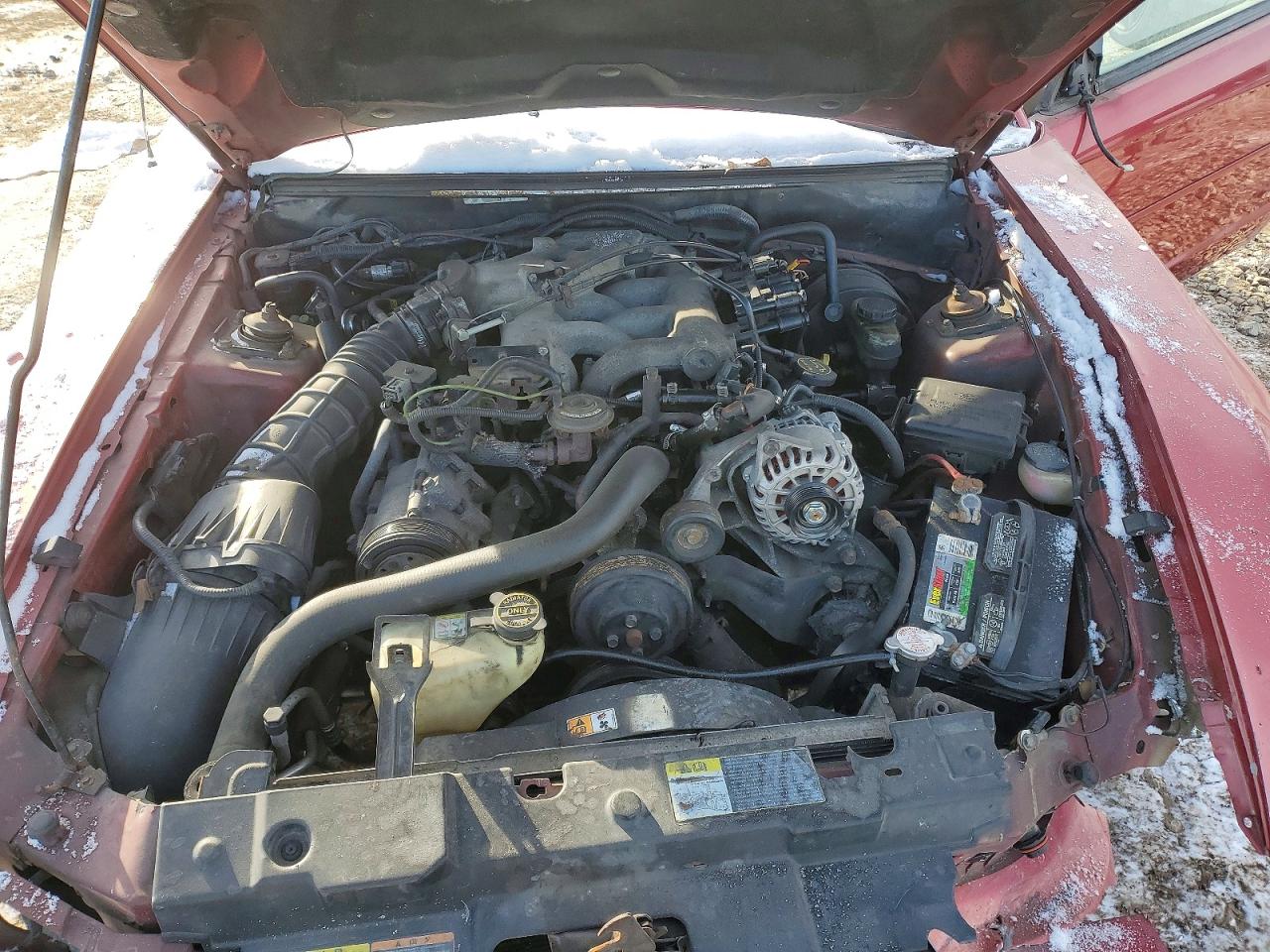 2002 Ford Mustang Red vin: 1FAFP40442F188933